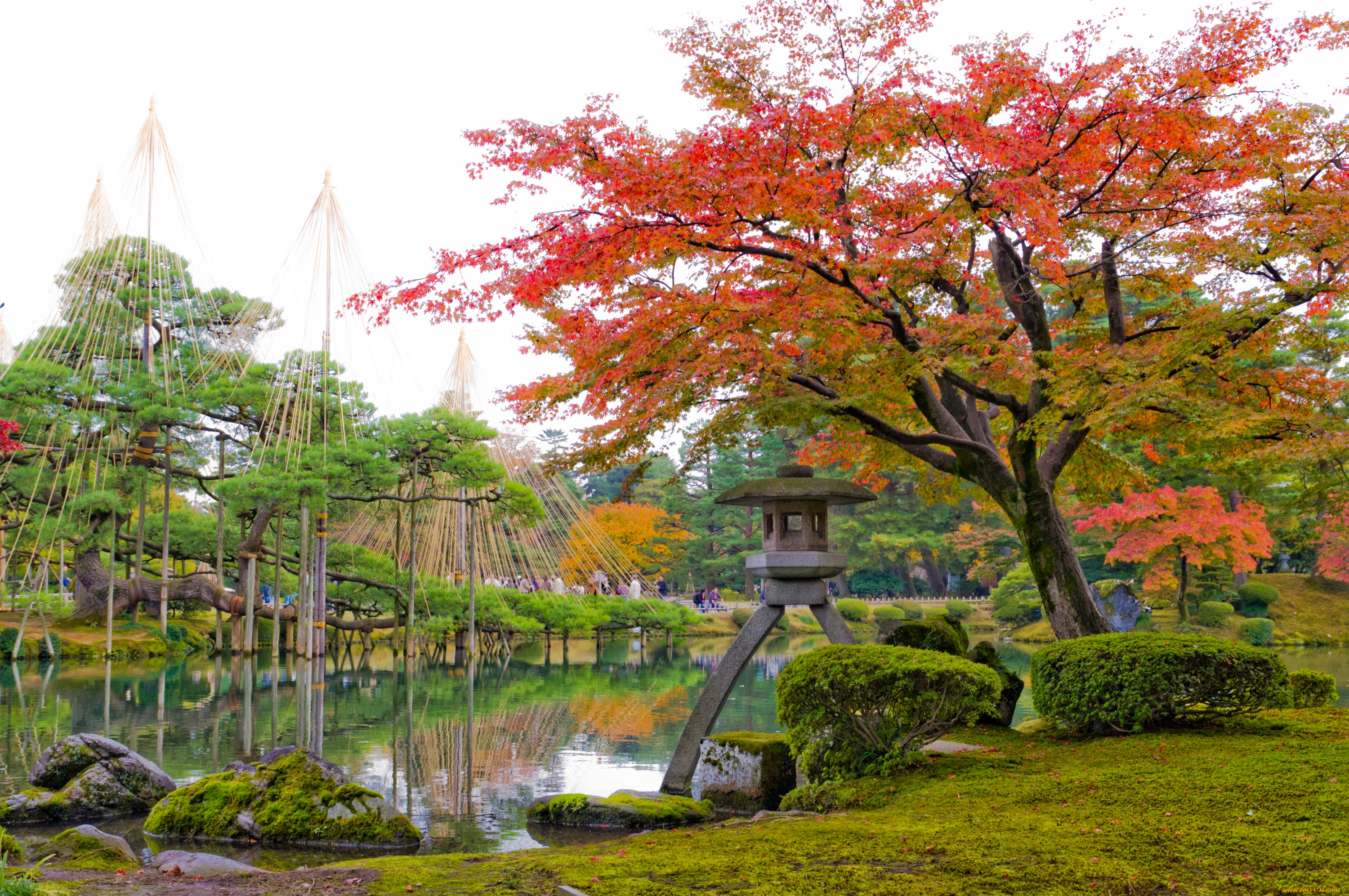 природа, парк, китай