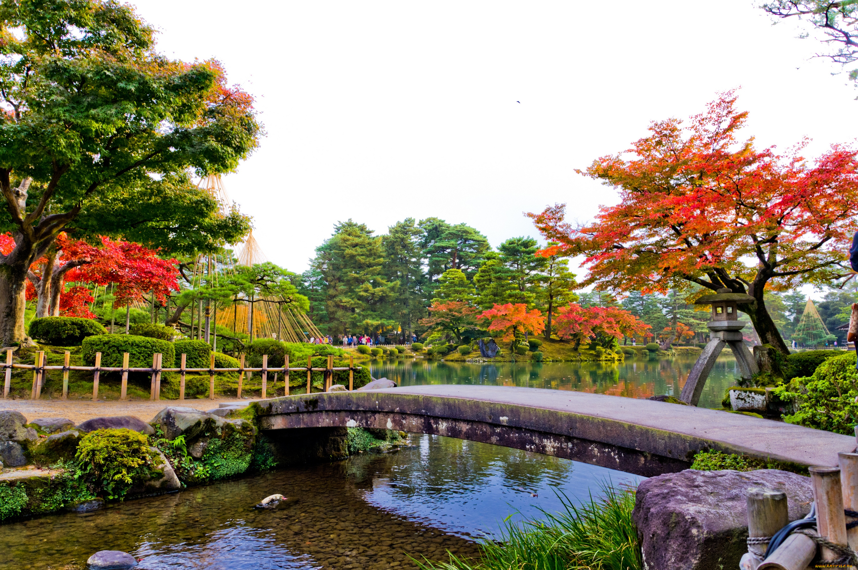 природа, парк, красота