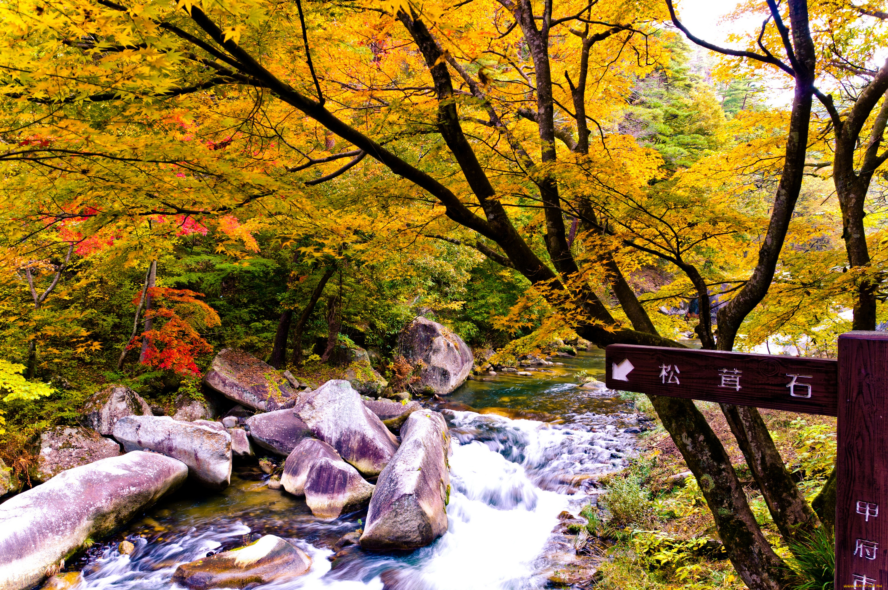 природа, реки, озера, китай