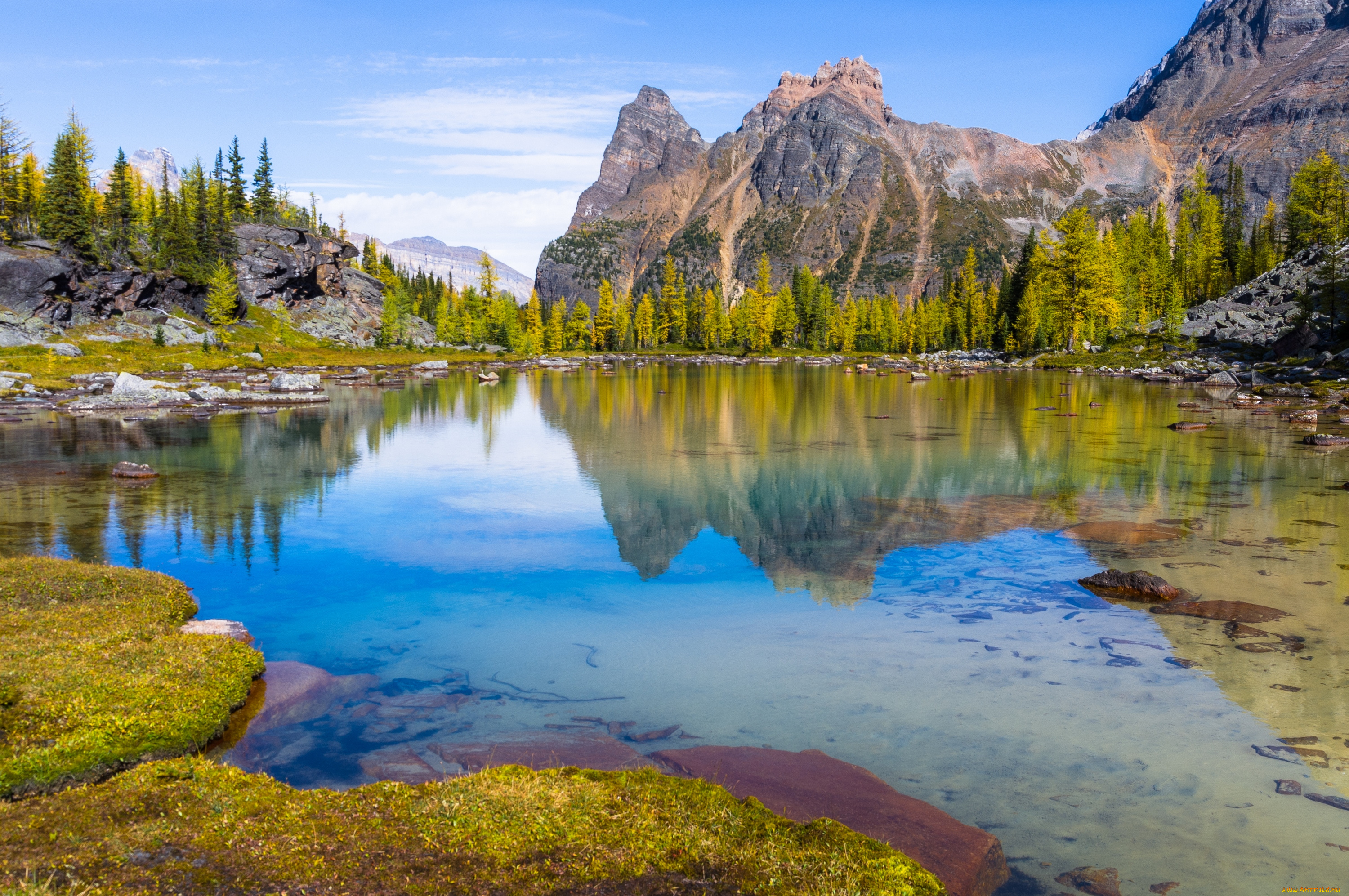 природа, реки, озера, пейзаж