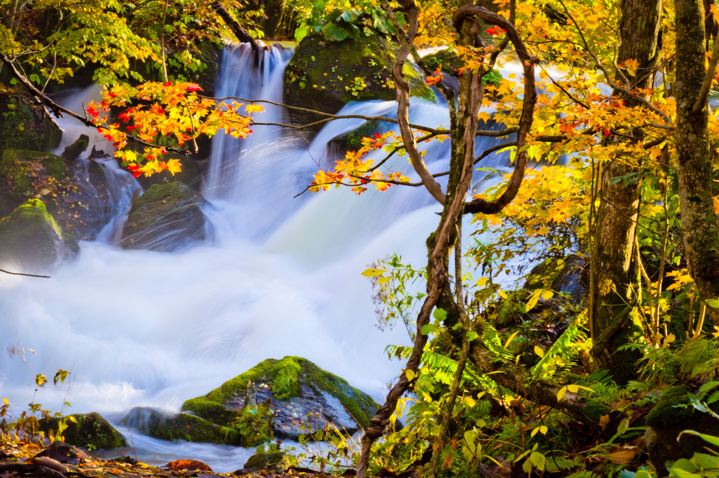 природа, водопады, китай