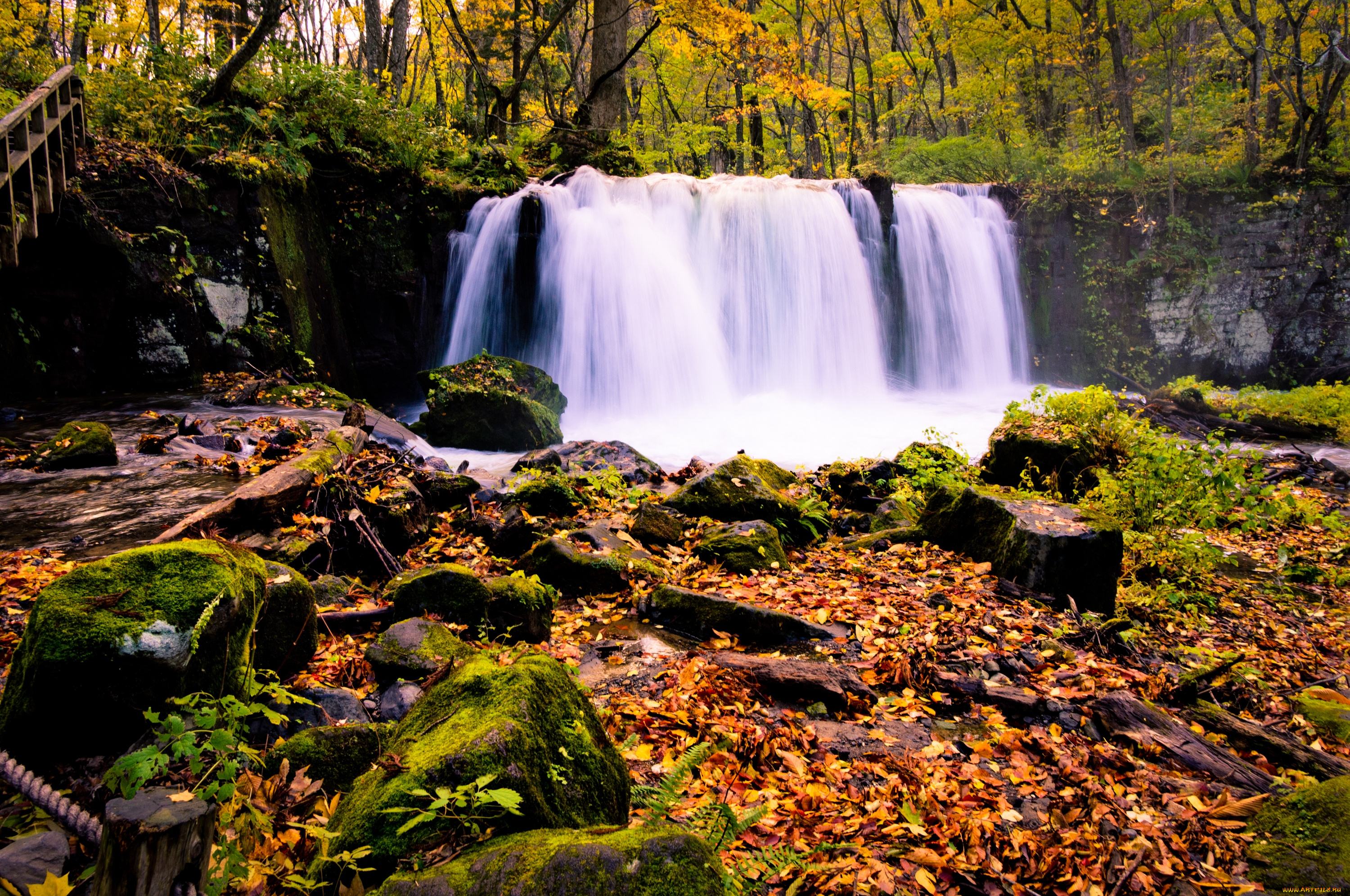 природа, водопады, китай, водопад, листья, камни, мох