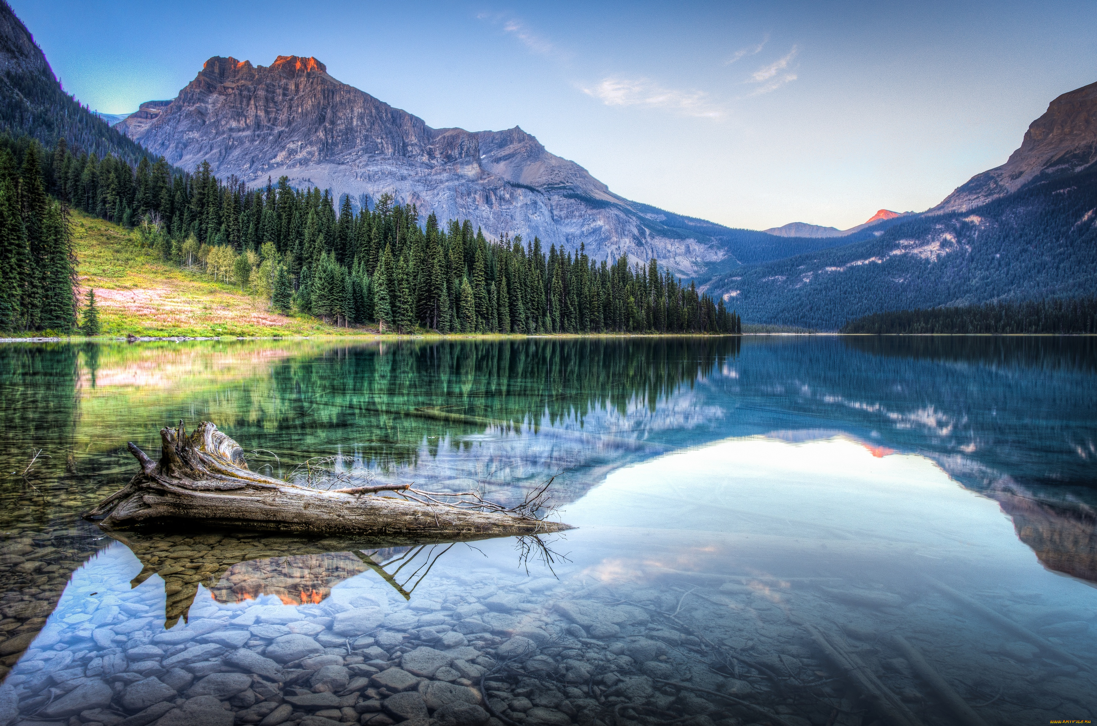 природа, реки, озера, пейзаж, горы, лес, отражение, коряга