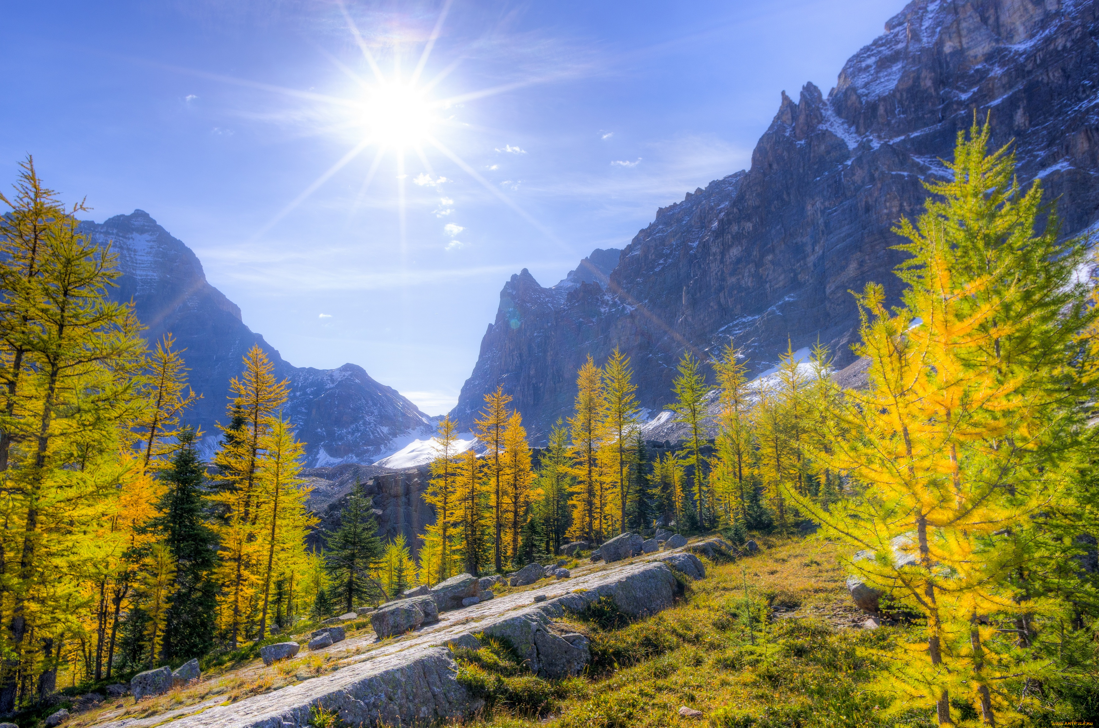 природа, восходы, закаты, солнце, горы, лес, деревья