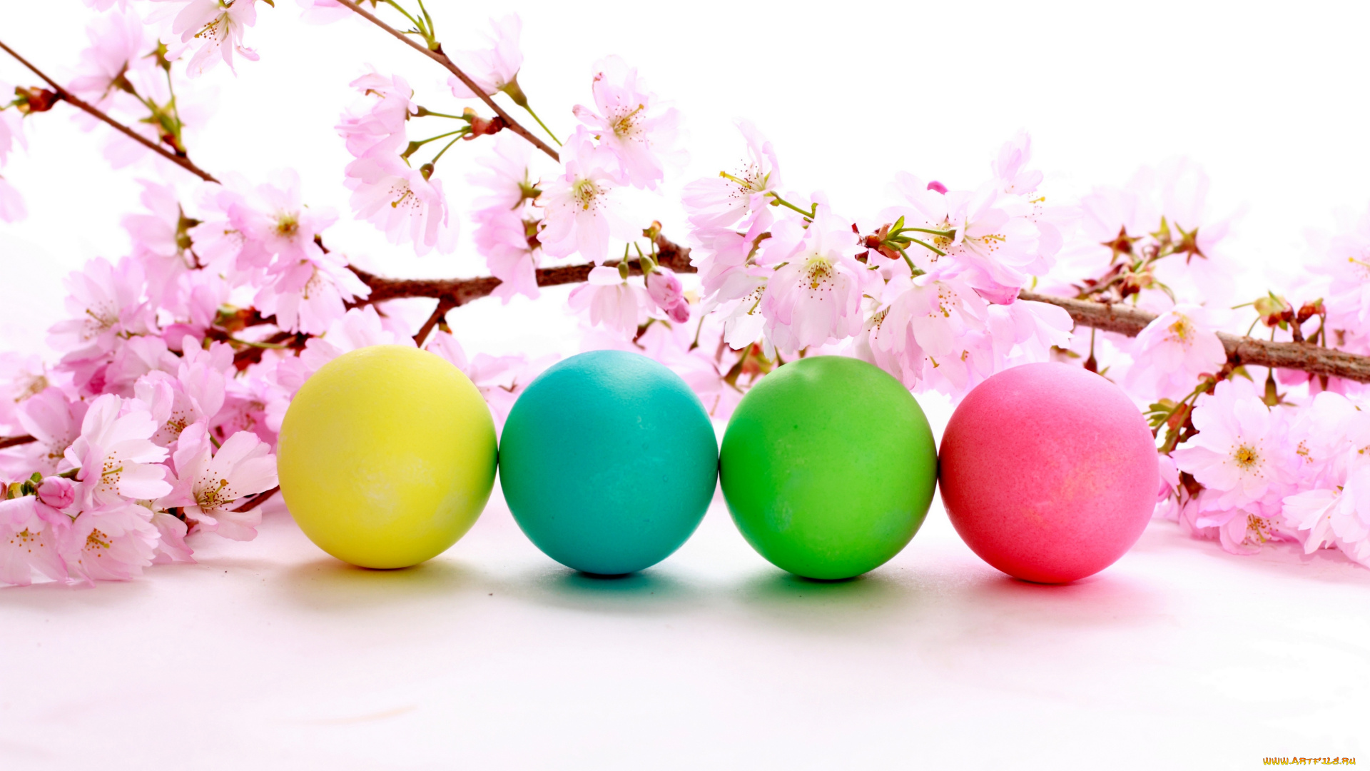 праздничные, пасха, яички, вишневая, веточка, цветы, праздник, цветение