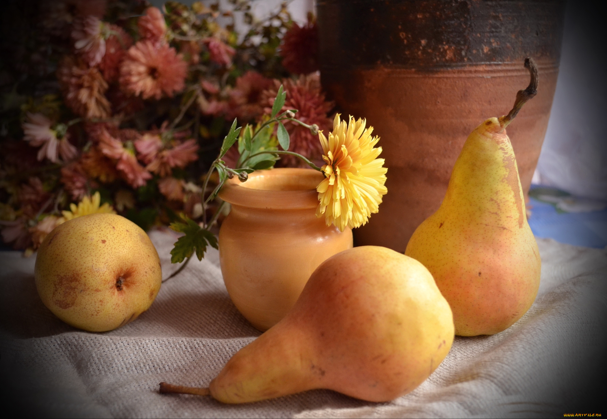 еда, груши, плоды, цветы