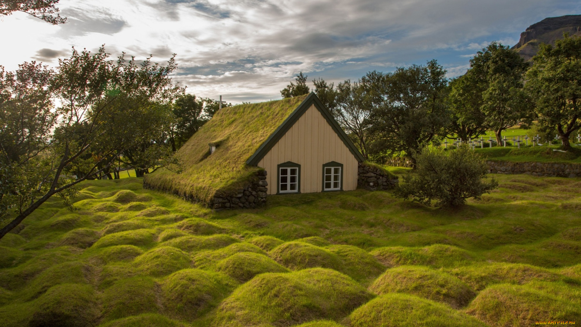 города, -, здания, , дома, деревья, кусты, трава, холмы, избушка, домик, мох