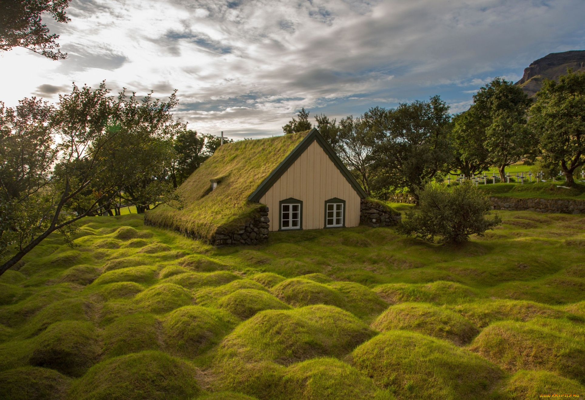 города, -, здания, , дома, деревья, кусты, трава, холмы, избушка, домик, мох