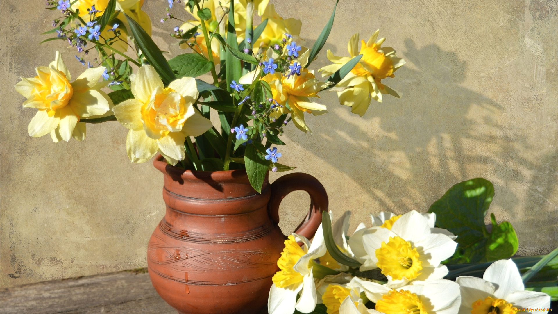 цветы, нарциссы, незабудки, кувшин, букет