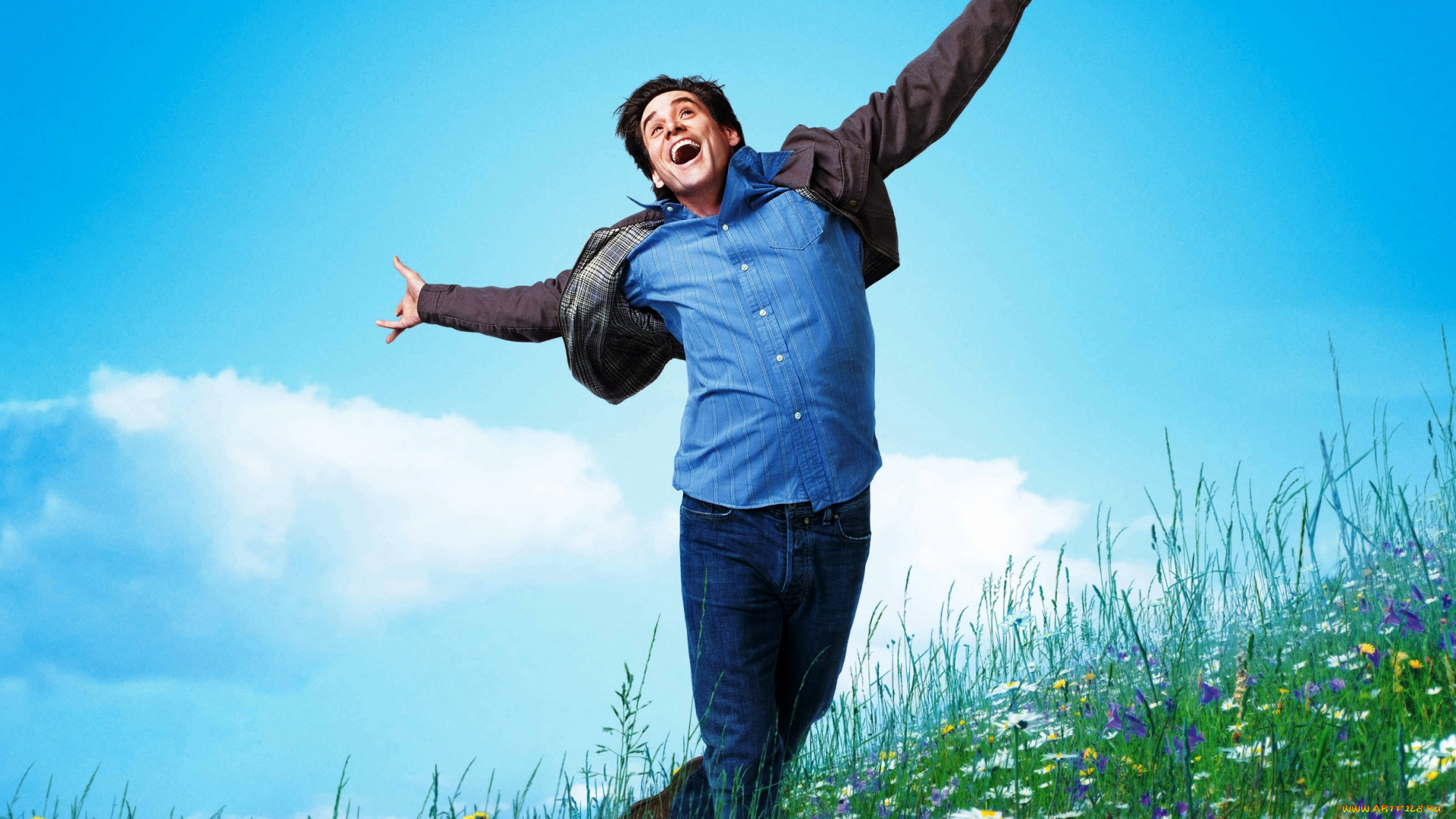 кино, фильмы, yes, man, луг, радость, джим, керри, актер, всегда, говори, да