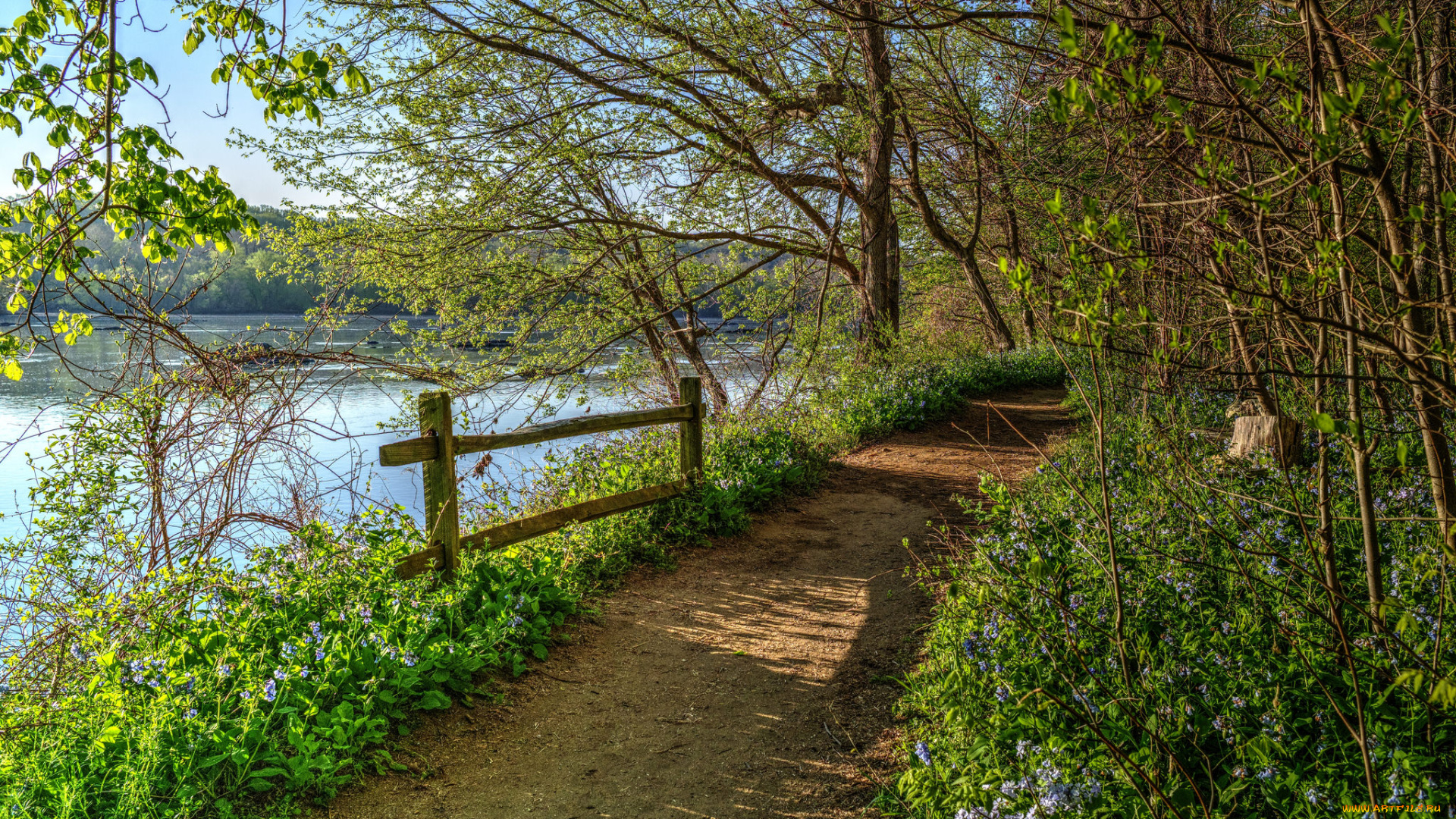 природа, дороги, лес, река