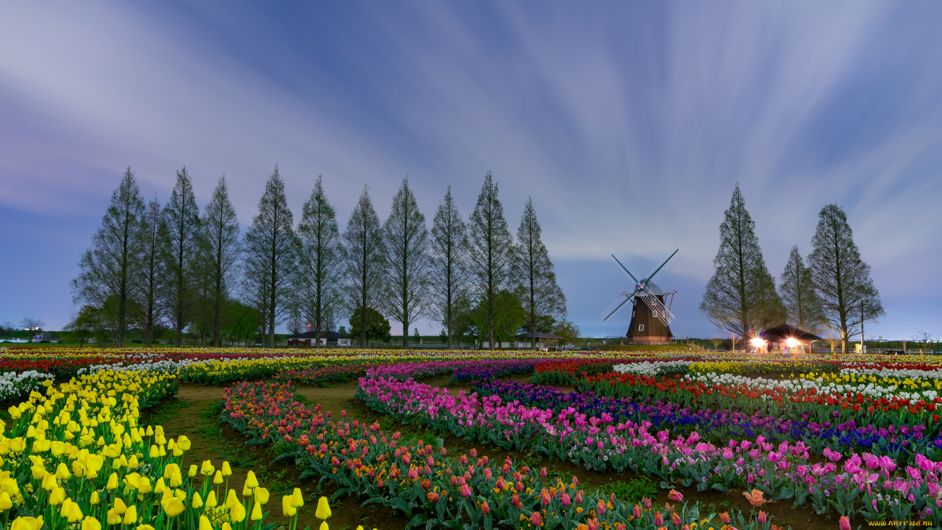 природа, пейзажи, мельница, деревья, цветы