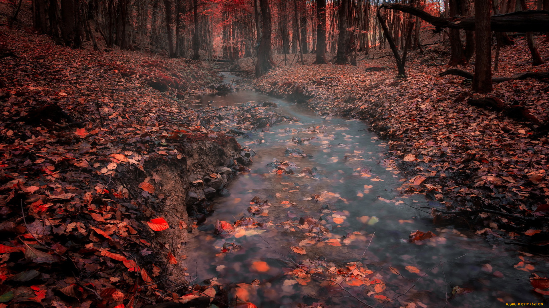 природа, реки, озера, лес, осень, река