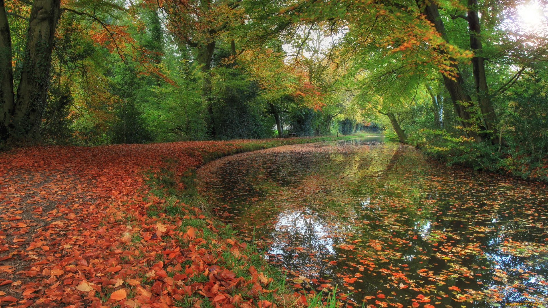 природа, реки, озера, парк, река, осень