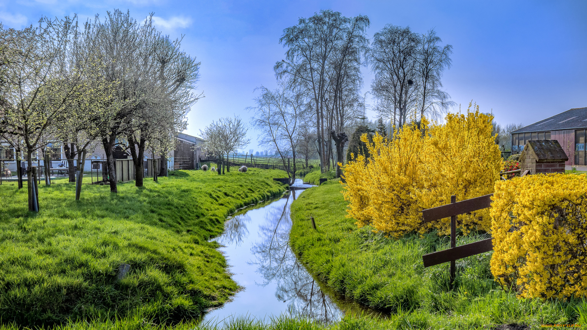 природа, реки, озера, река, лес