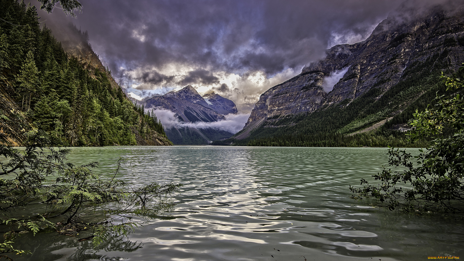 природа, реки, озера, река, лес