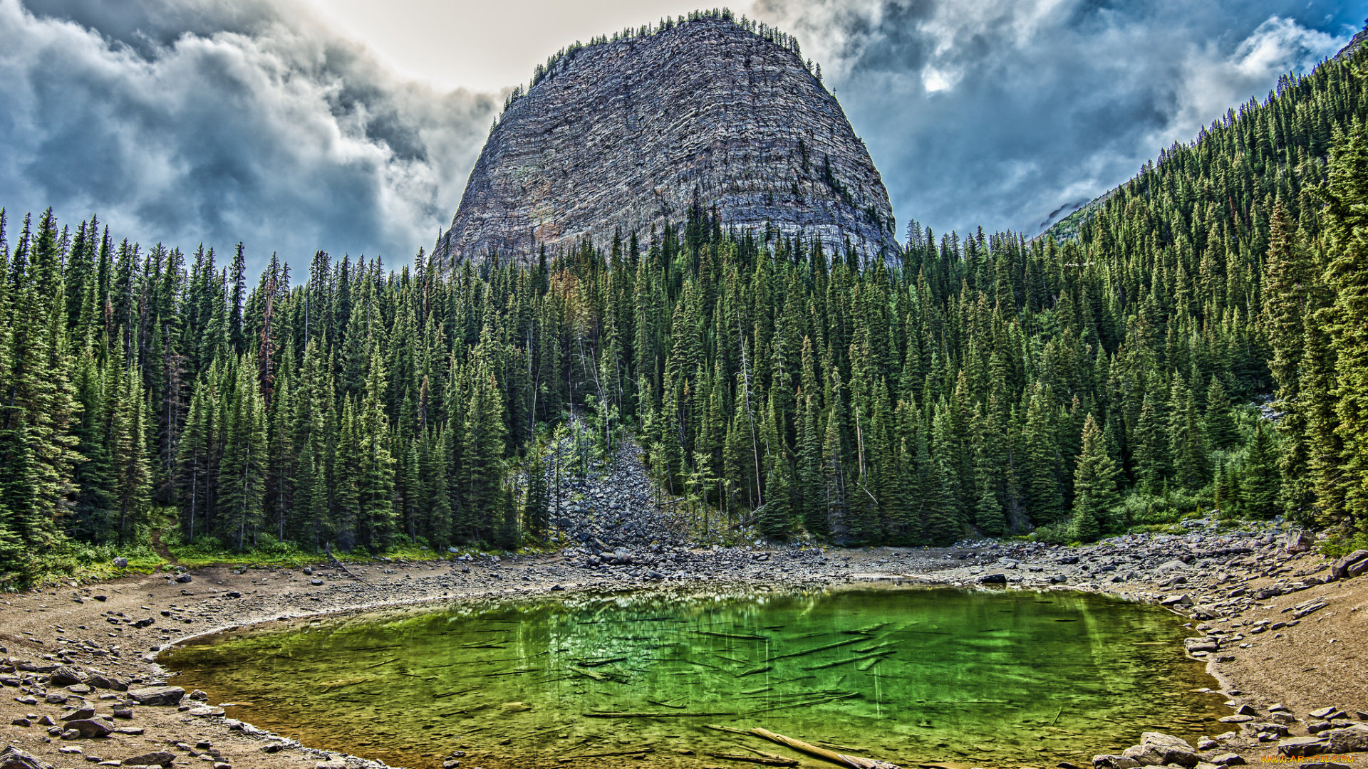 природа, реки, озера, река, лес