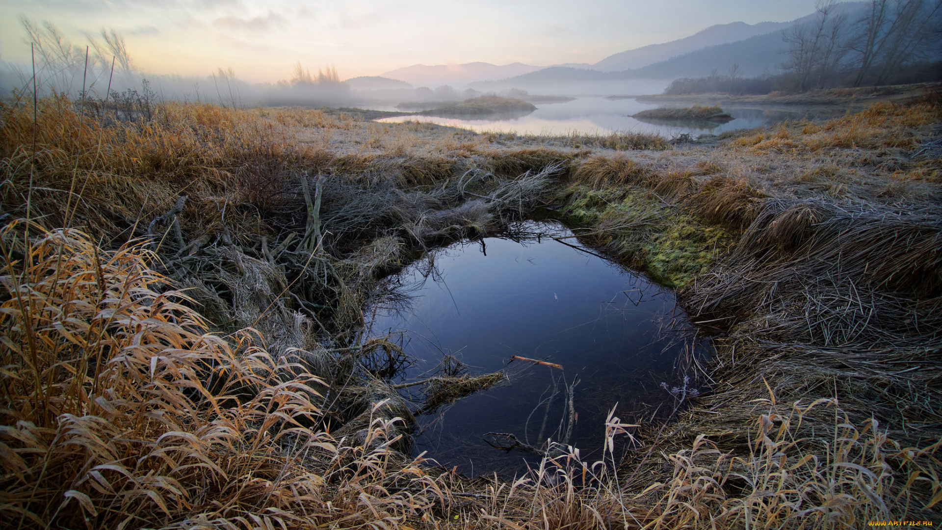 природа, реки, озера, река, лес