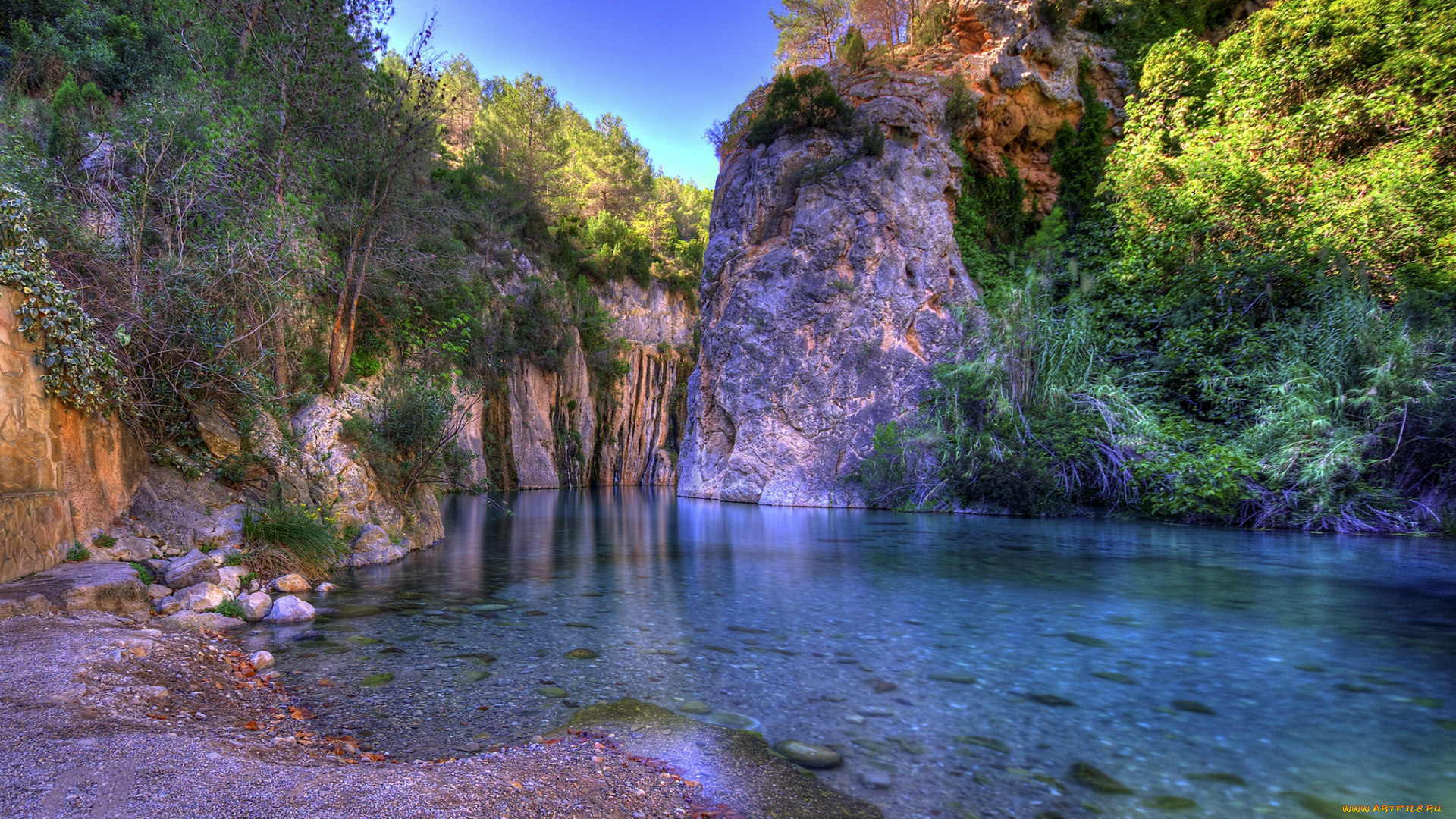 природа, реки, озера, река, лес