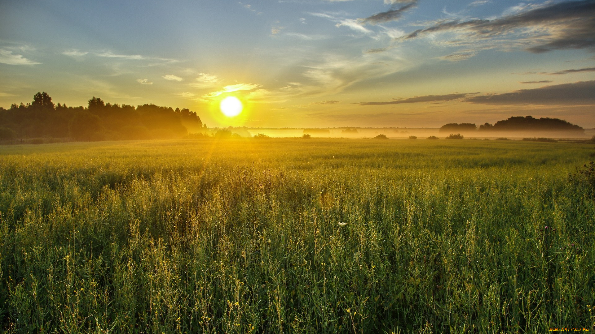 природа, восходы, закаты, закат, поле, трава, солнце, небо, облака