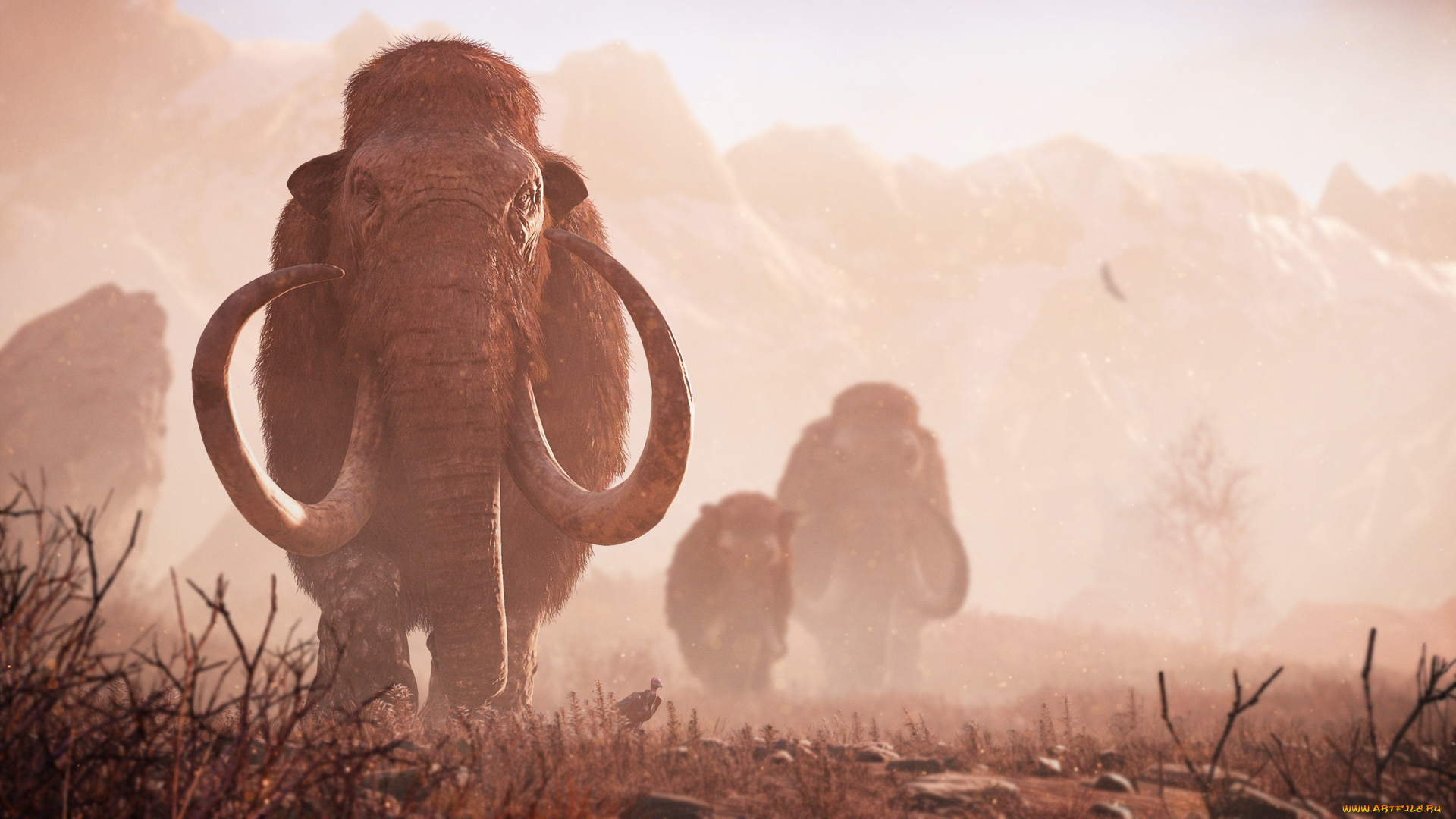 видео, игры, far, cry, , primal, персонаж