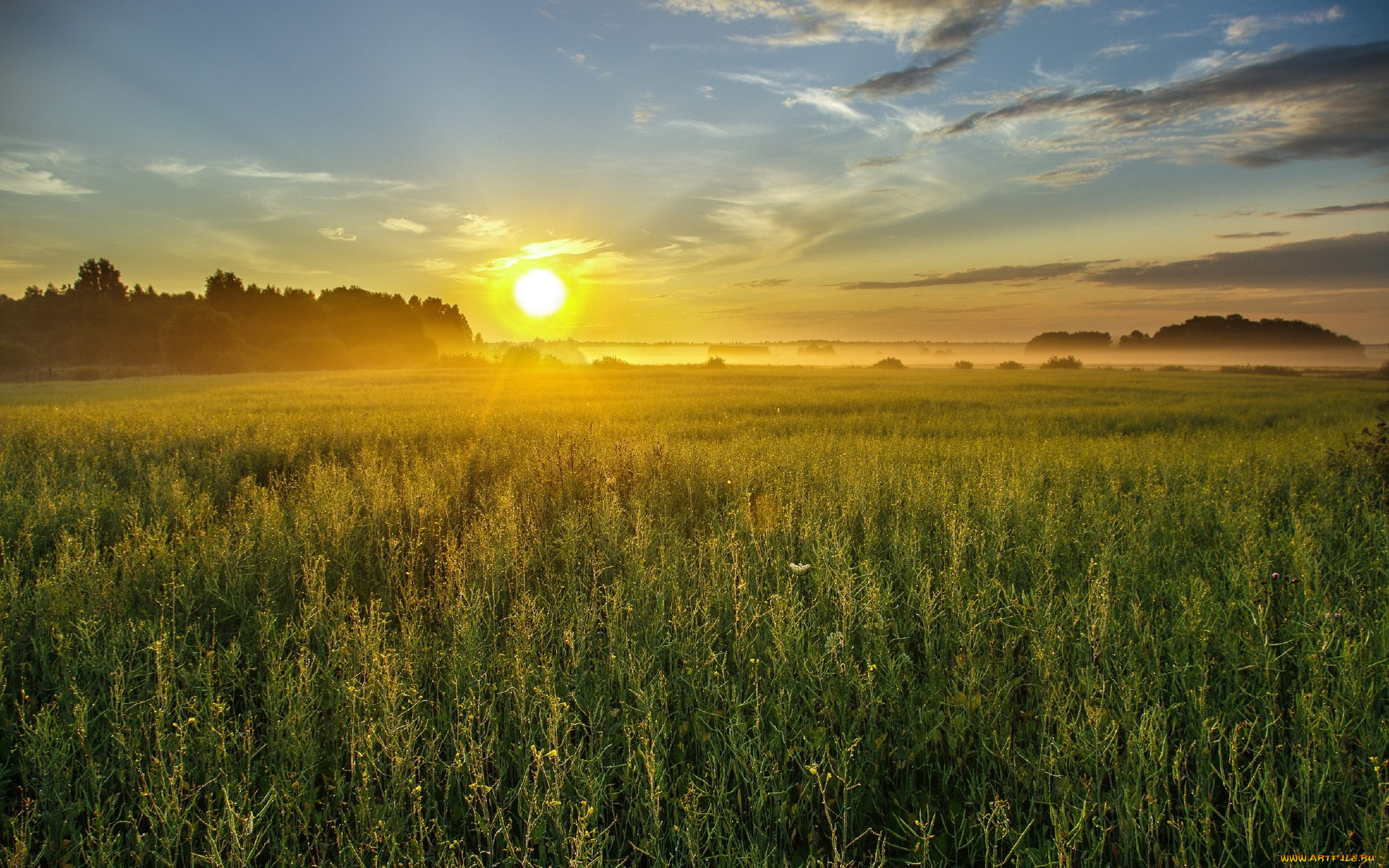 природа, восходы, закаты, закат, поле, трава, солнце, небо, облака