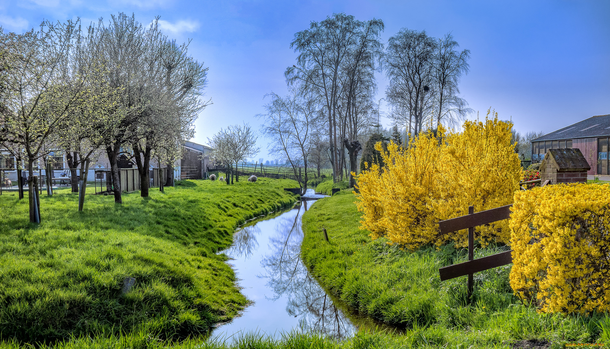 природа, реки, озера, река, лес