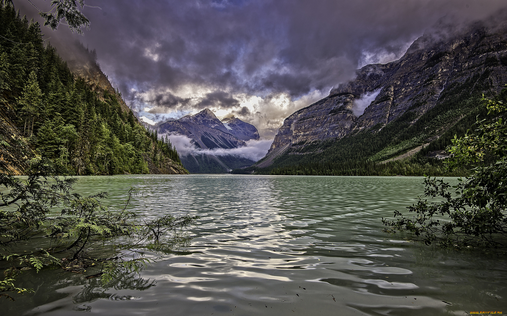 природа, реки, озера, река, лес