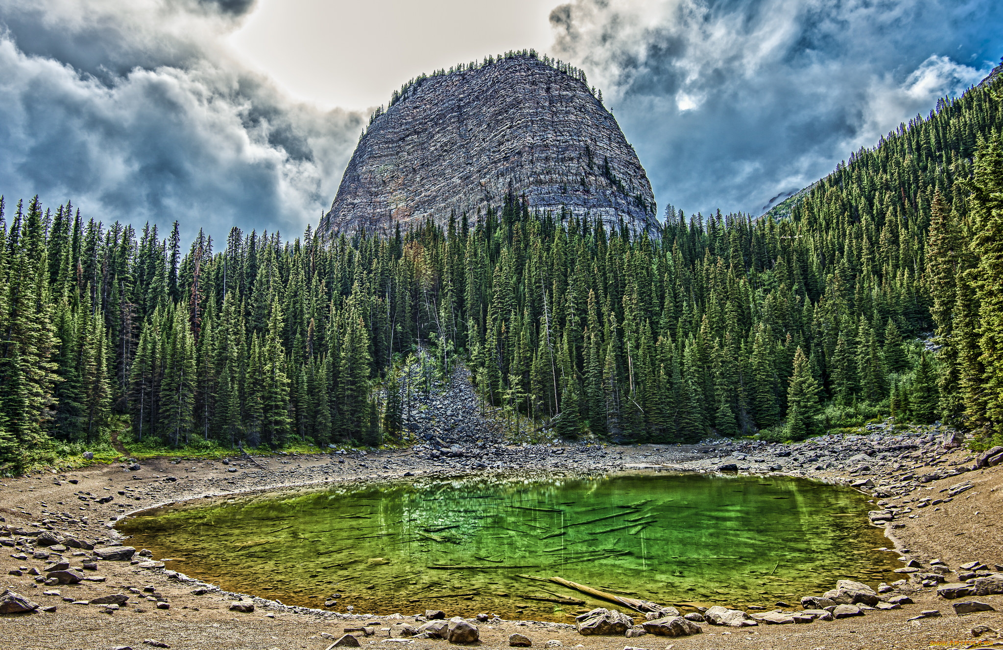 природа, реки, озера, река, лес