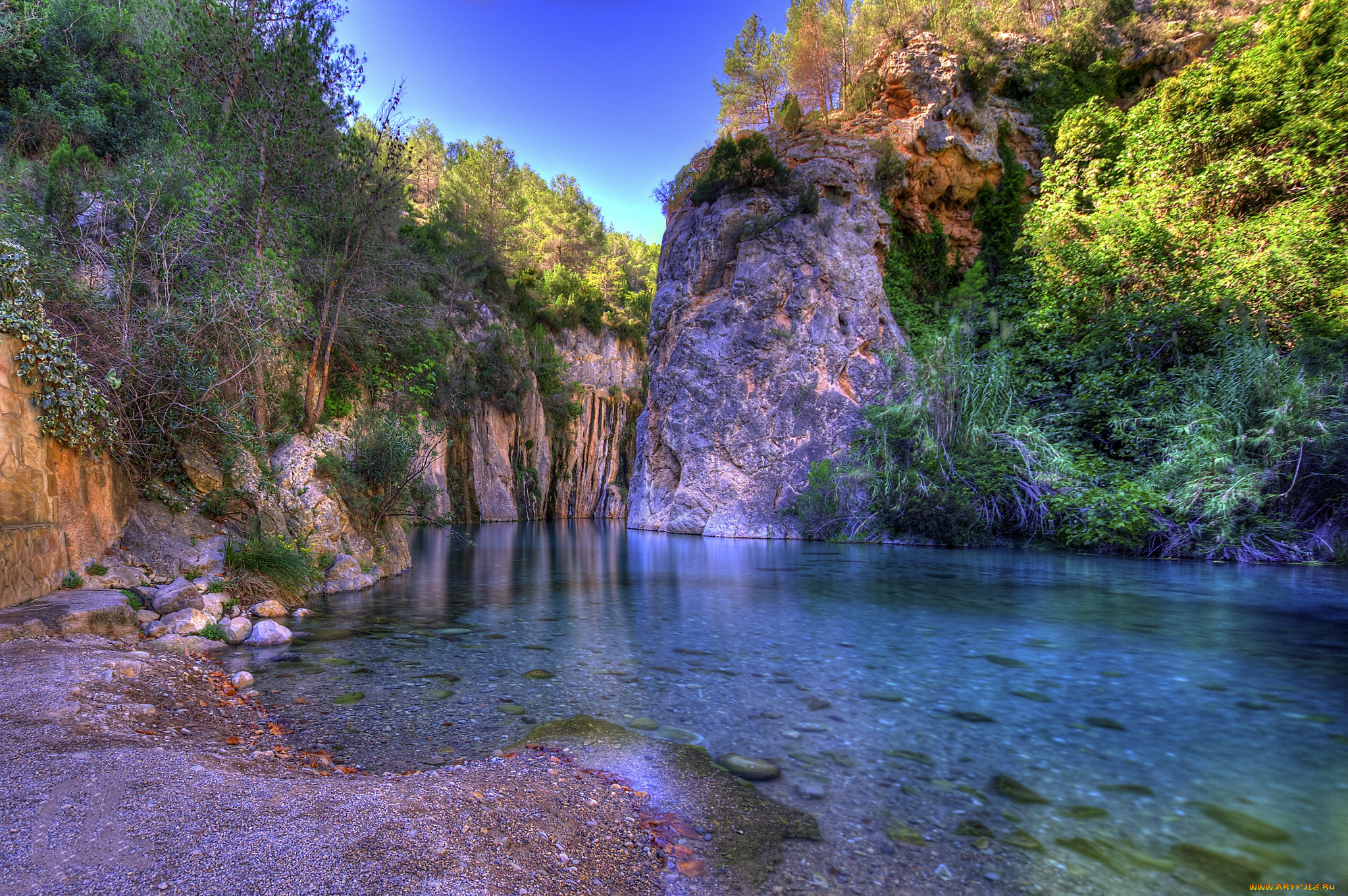 природа, реки, озера, река, лес