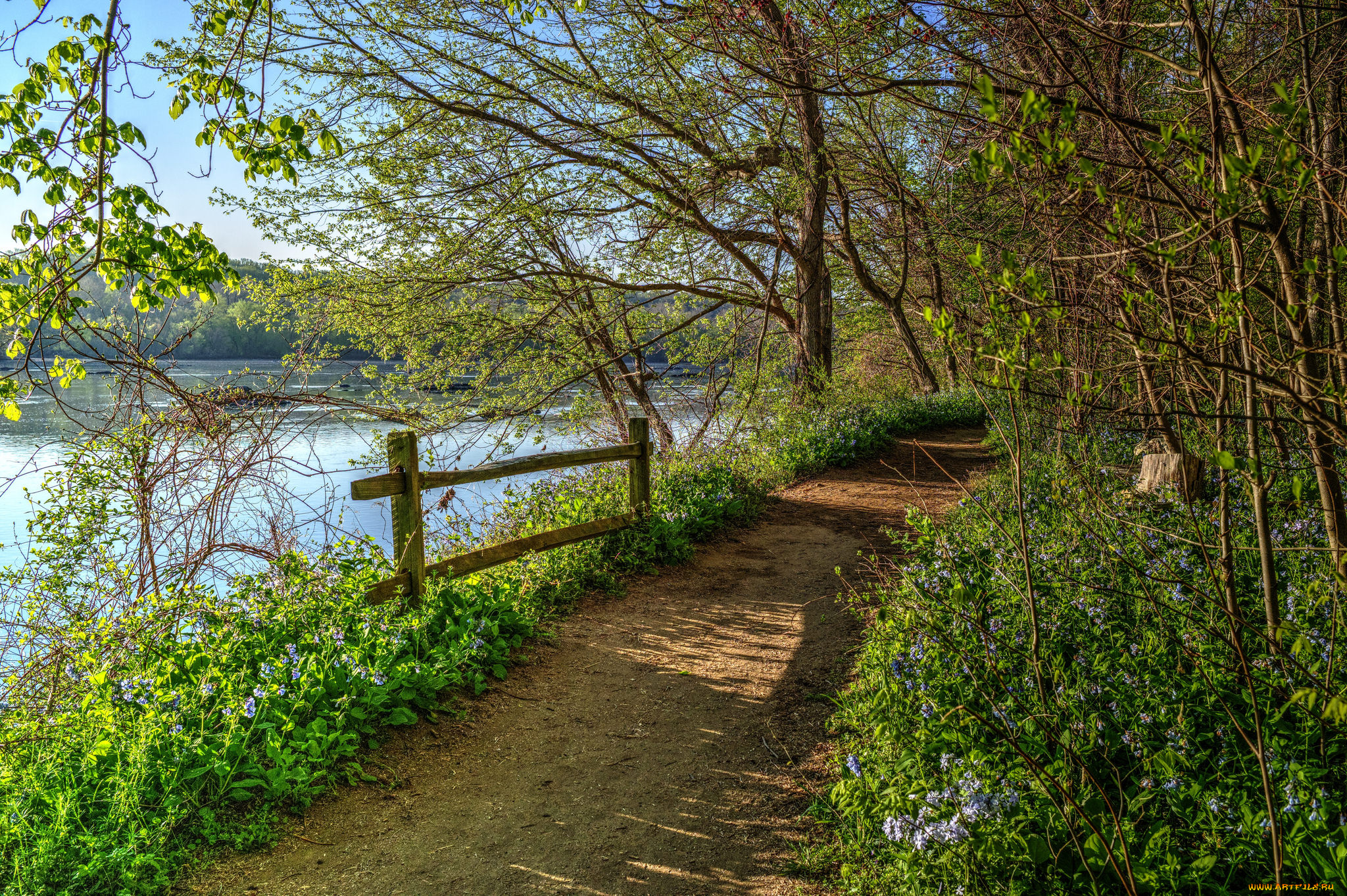 природа, дороги, лес, река