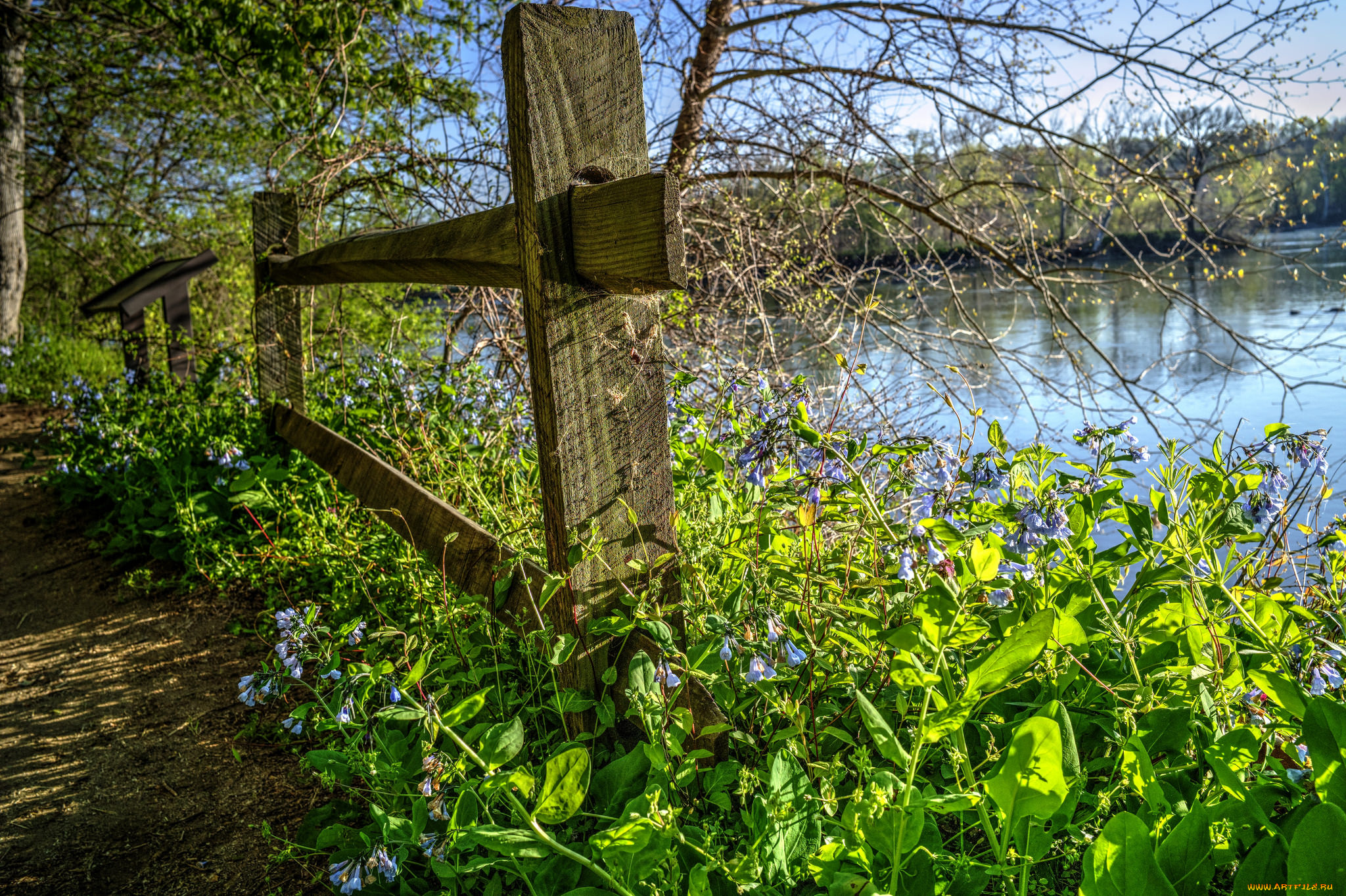 природа, пейзажи, река, лес