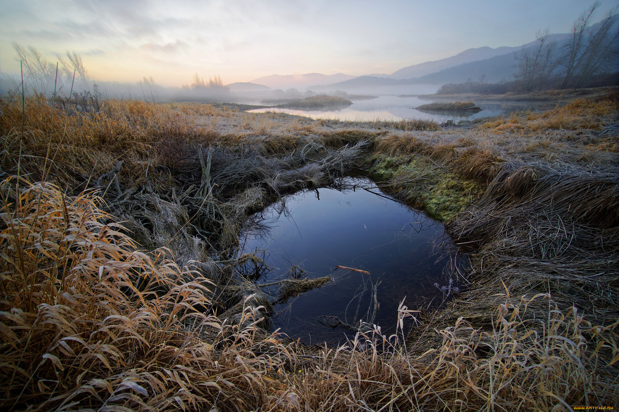 природа, реки, озера, река, лес