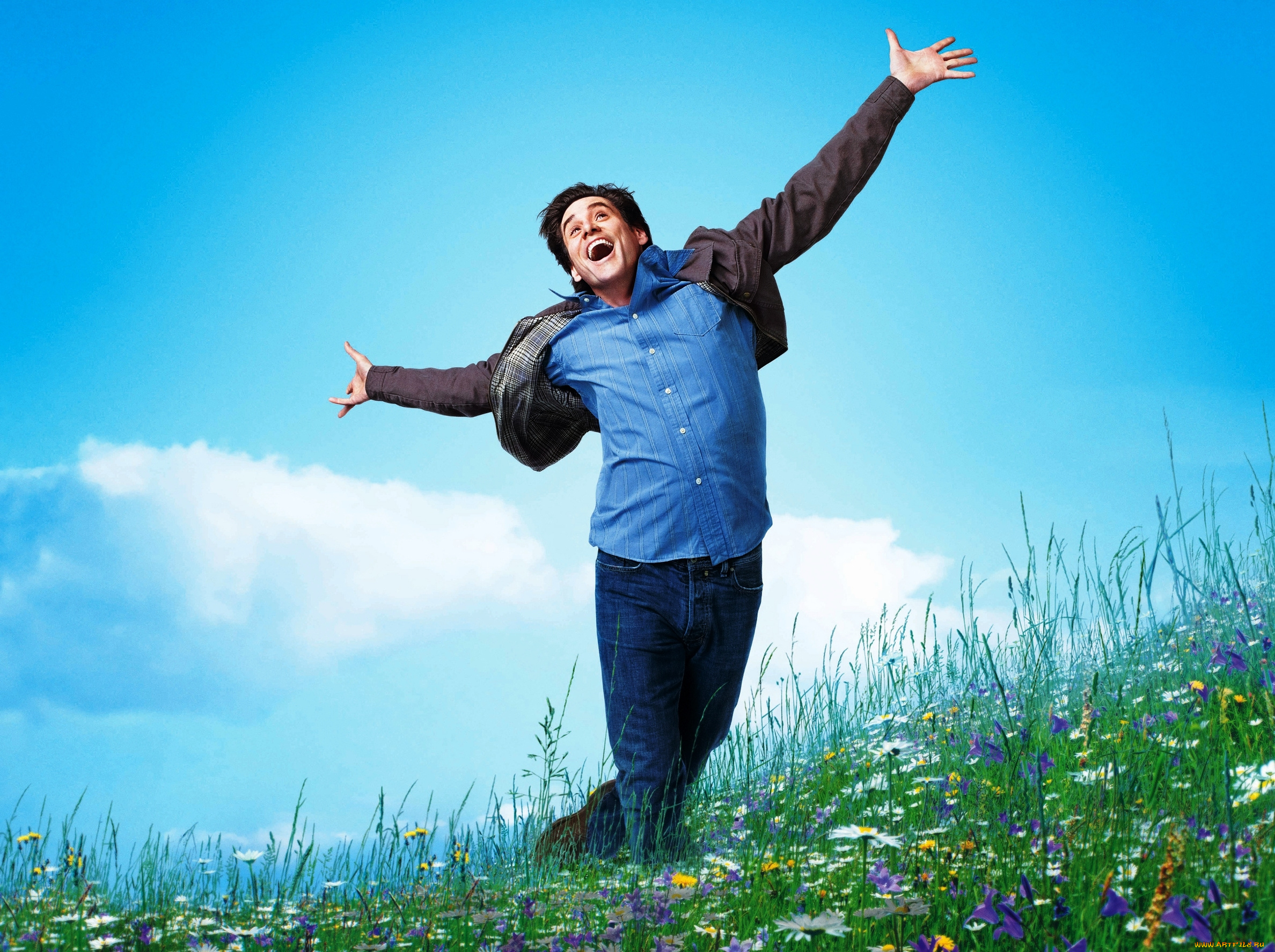 кино, фильмы, yes, man, луг, радость, джим, керри, актер, всегда, говори, да