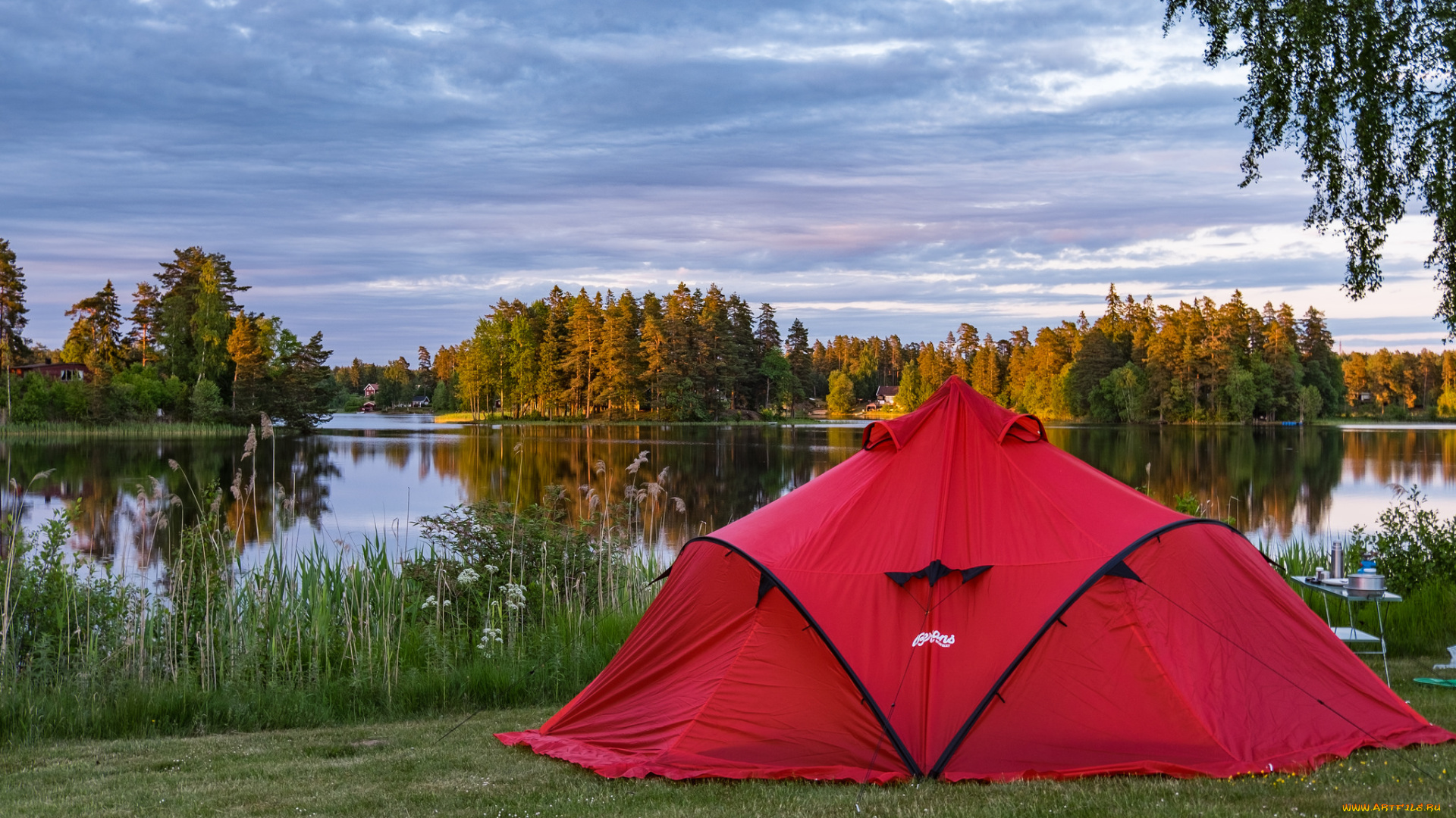 природа, реки, озера, лес, река