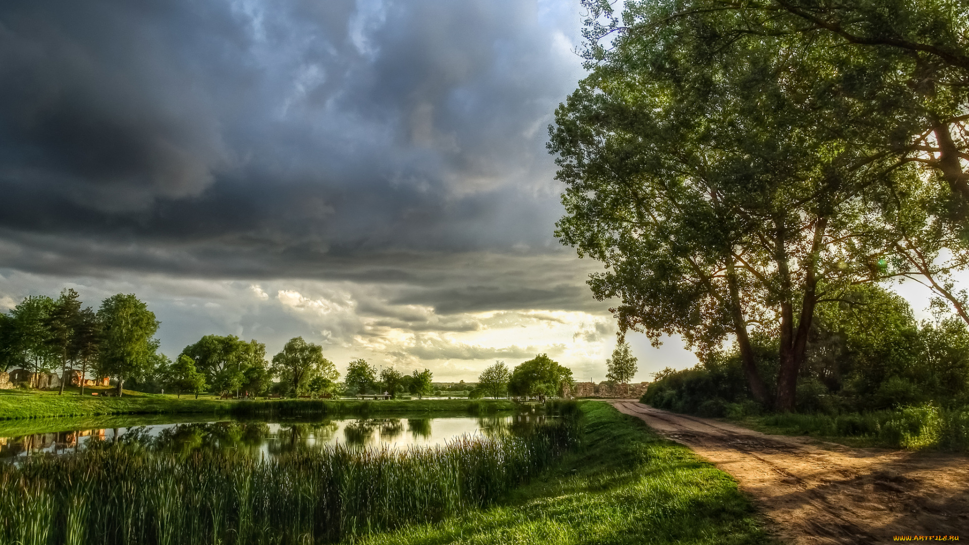 природа, реки, озера, лес, река