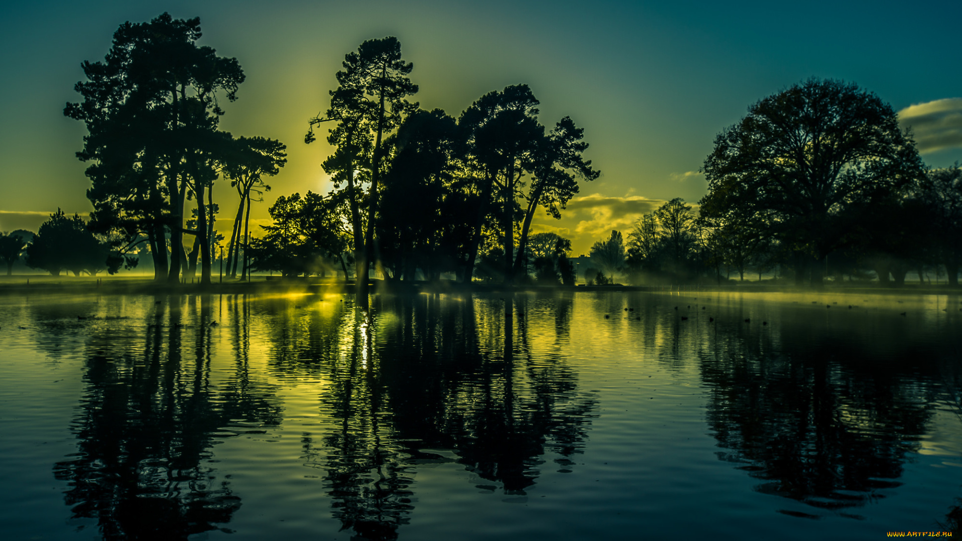 природа, реки, озера, лес, река