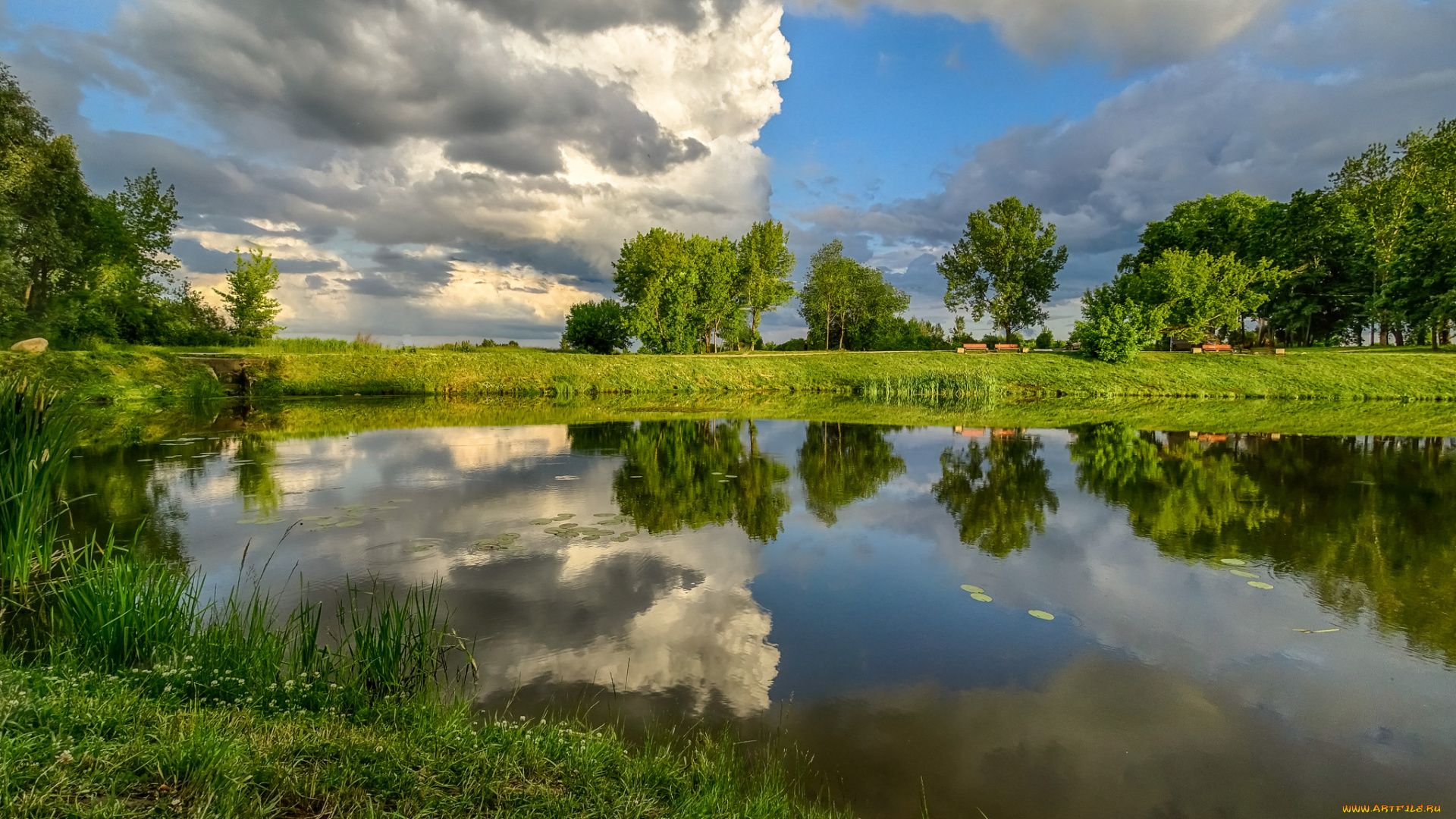 природа, реки, озера, лес, река