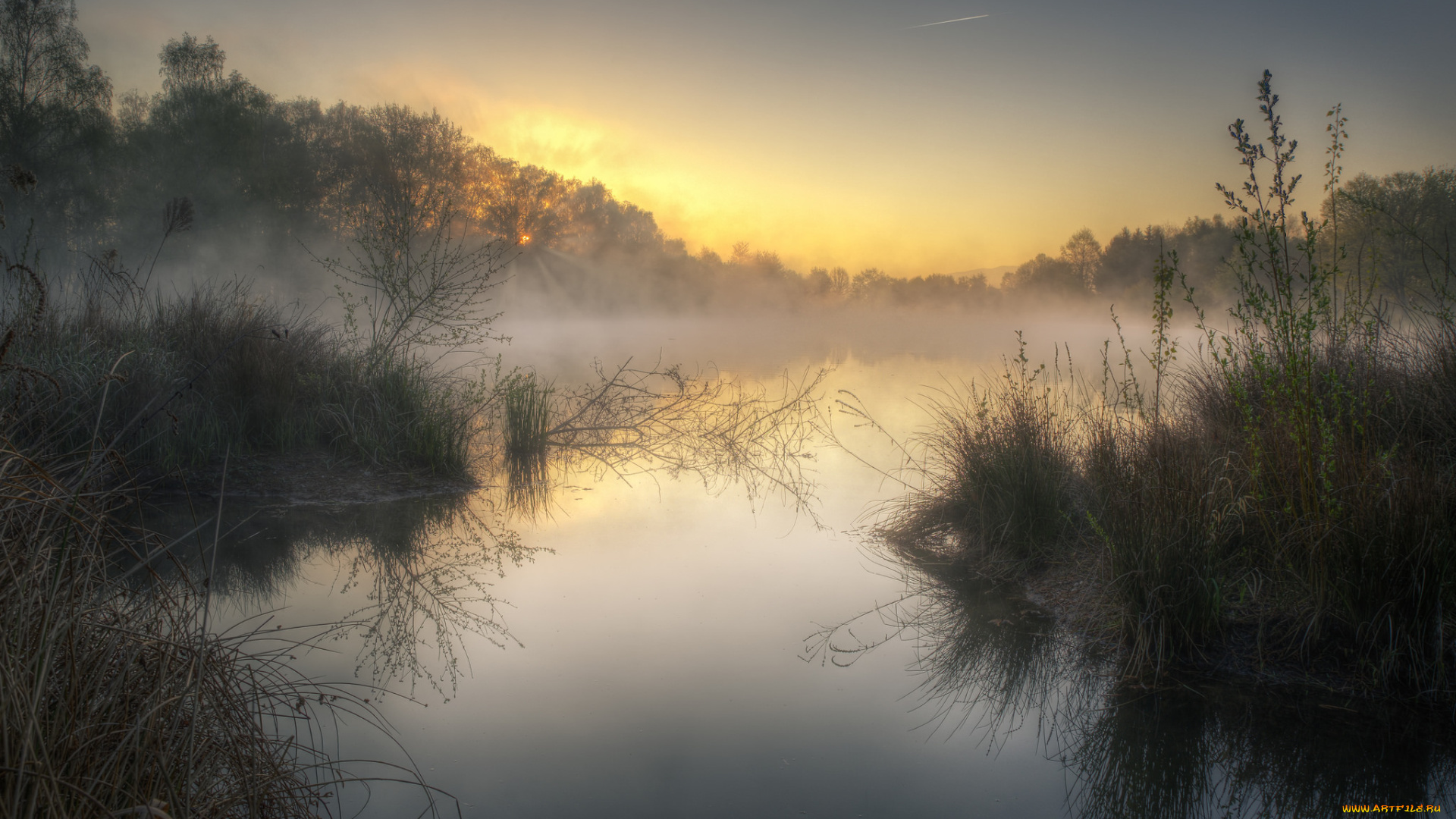 природа, реки, озера, лес, река