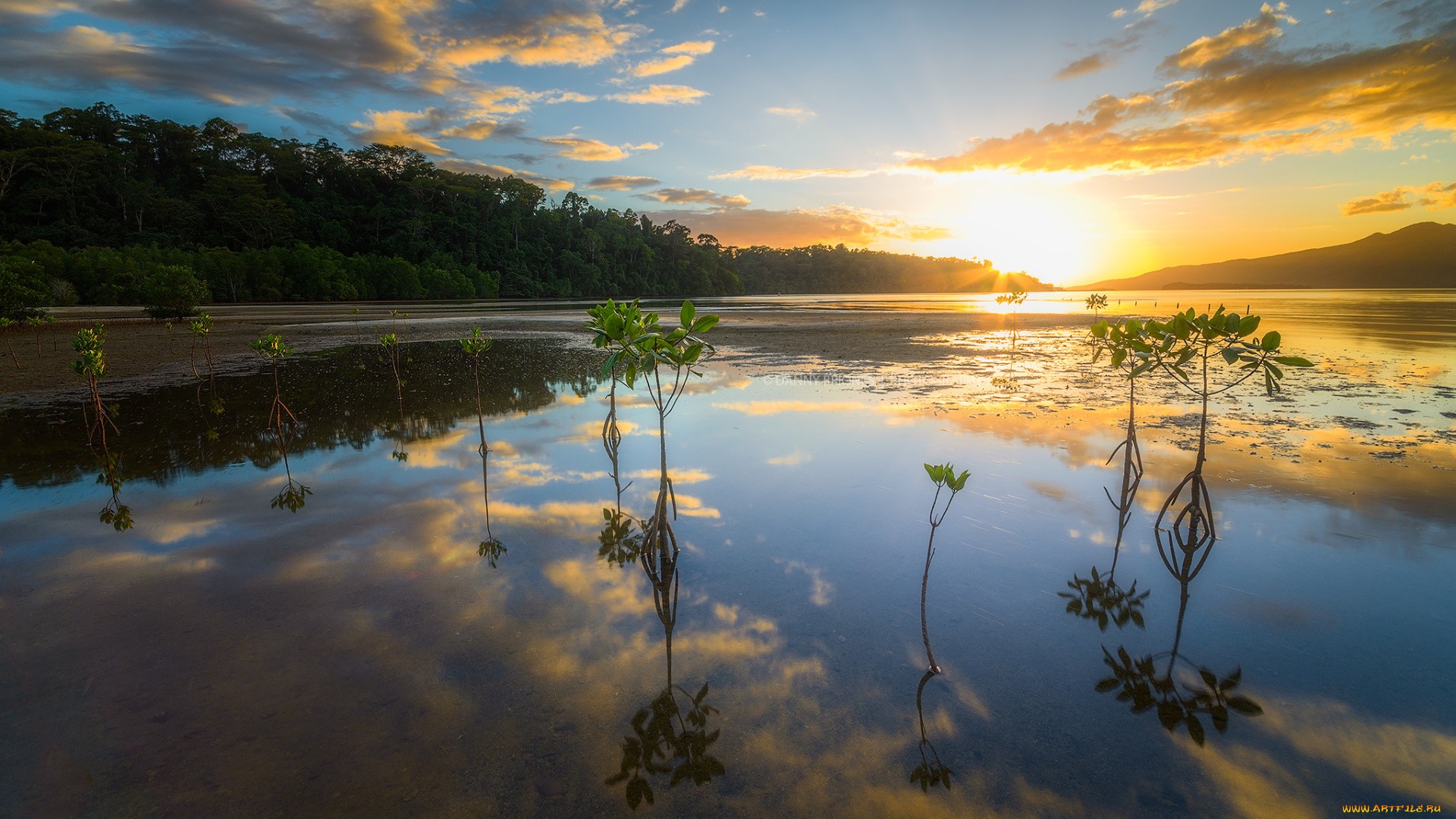 природа, восходы, закаты, рассвет