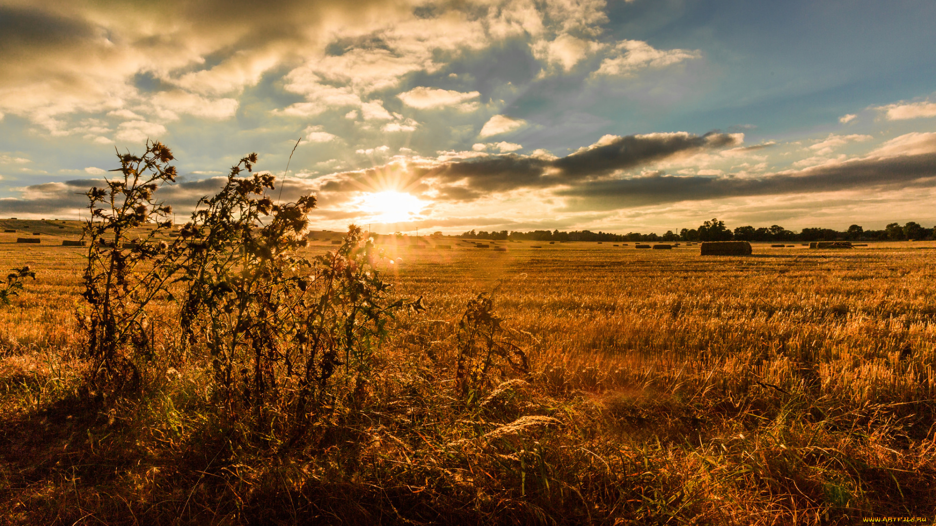 природа, восходы, закаты, рассвет