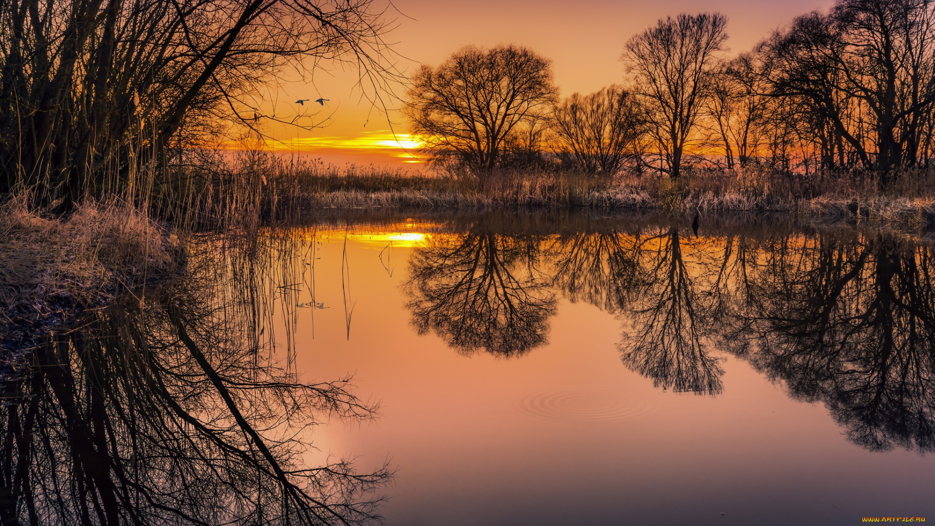 природа, восходы, закаты, рассвет