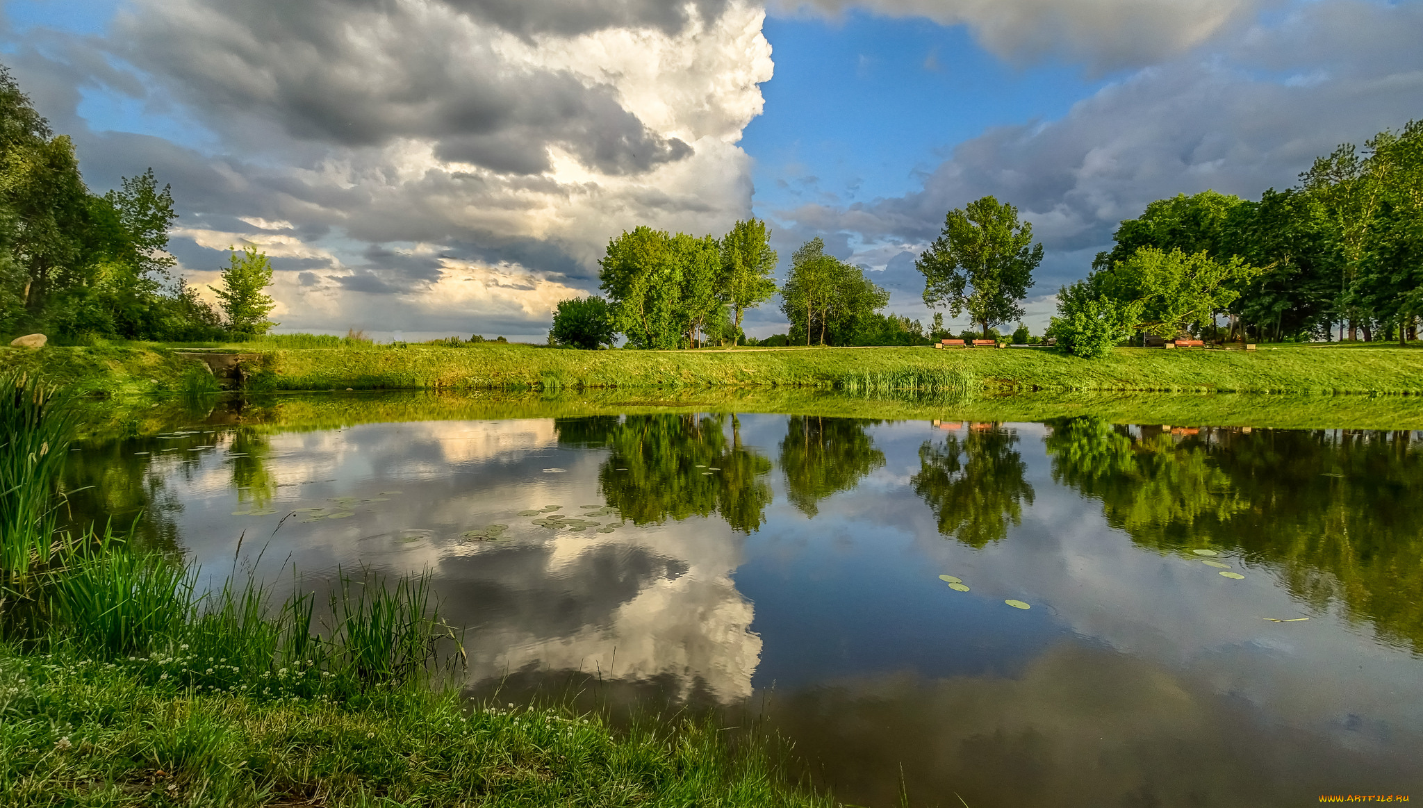 природа, реки, озера, лес, река