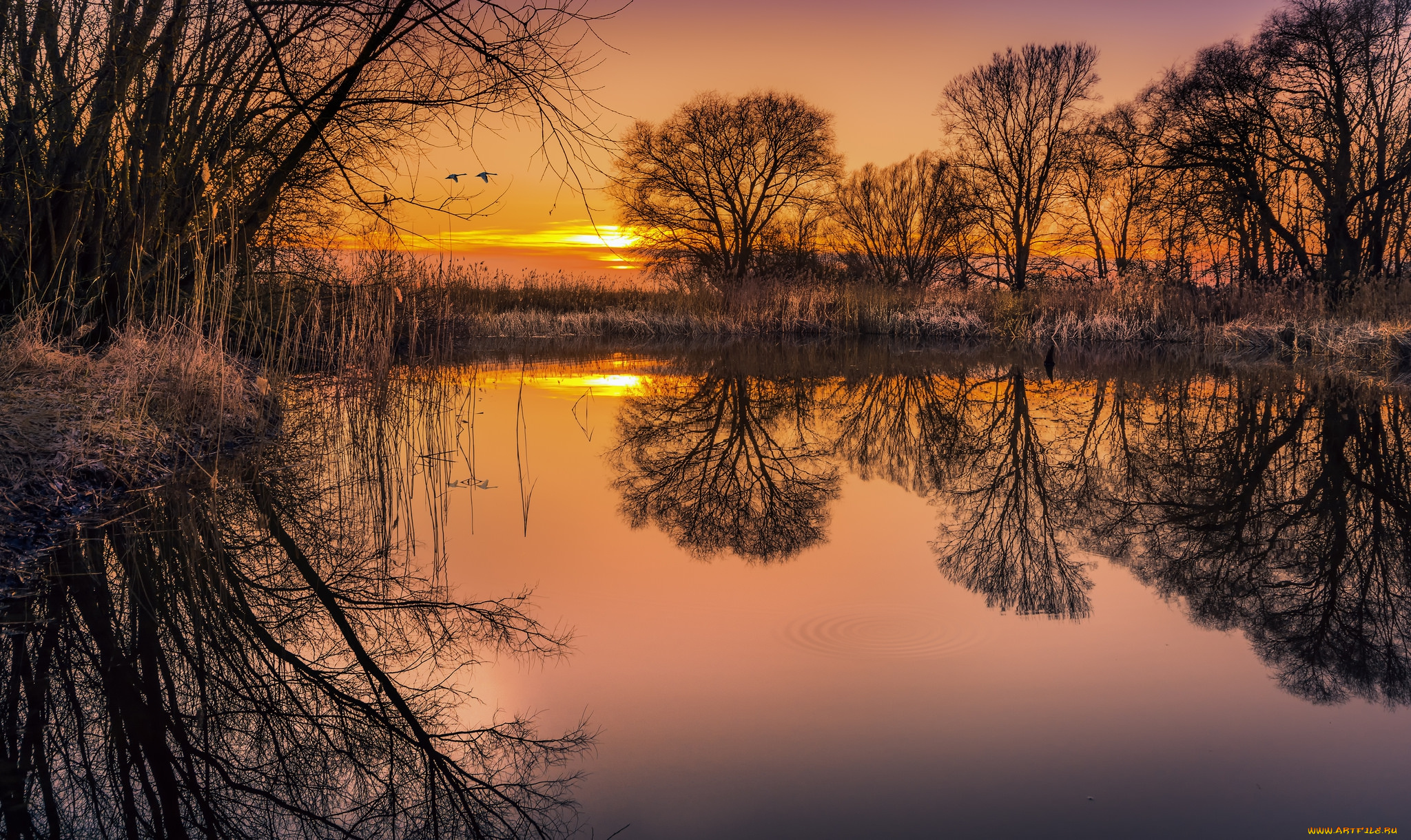 природа, восходы, закаты, рассвет