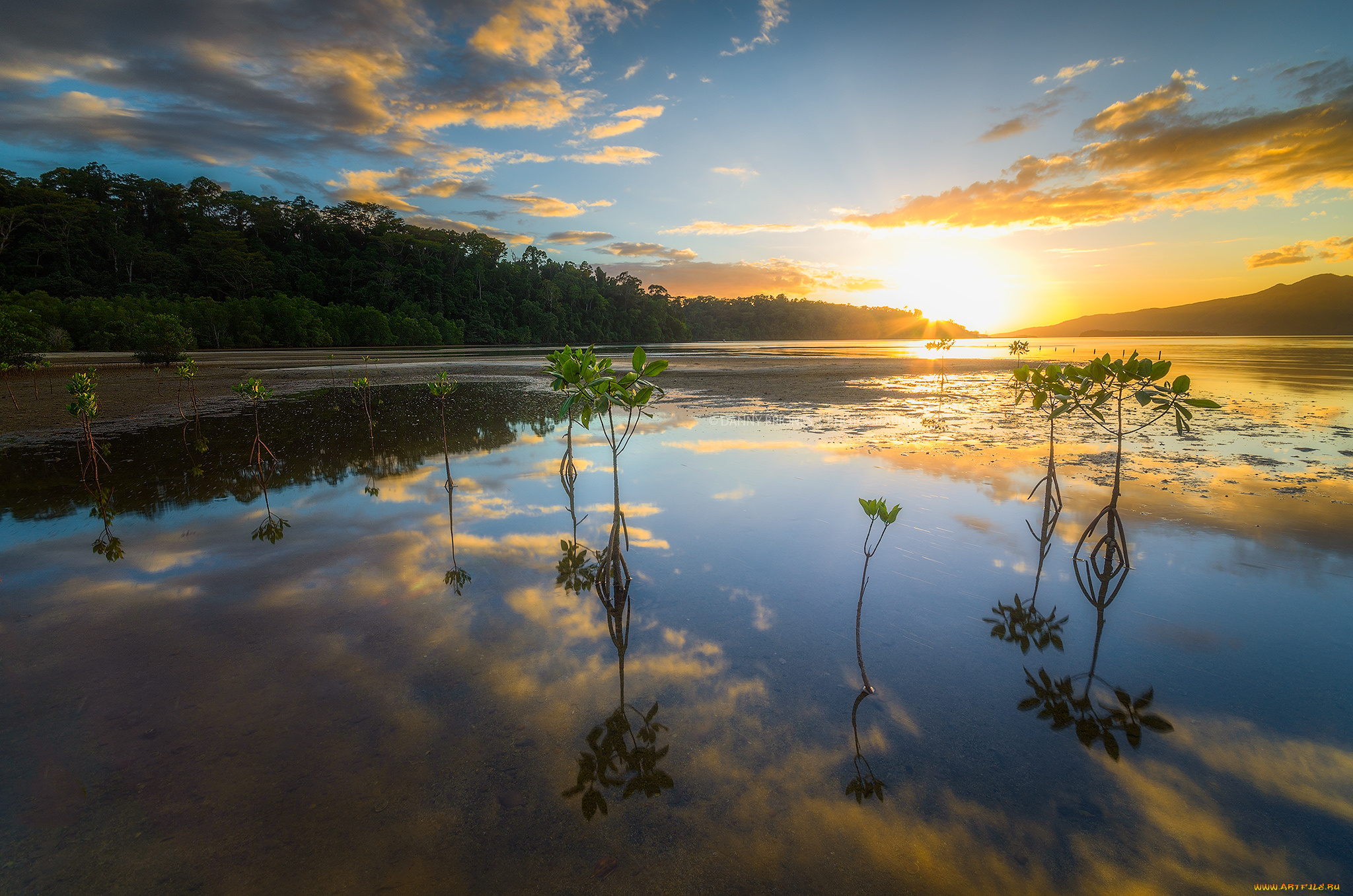 природа, восходы, закаты, рассвет
