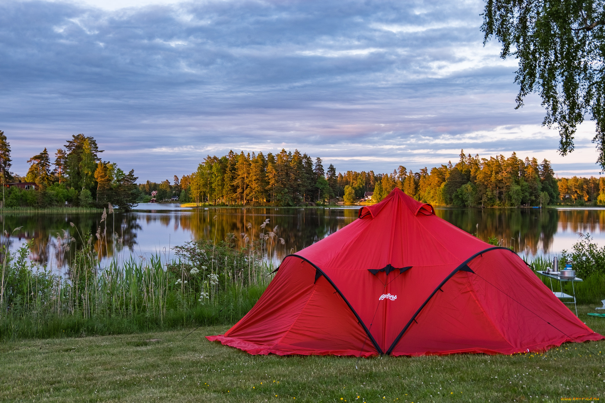 природа, реки, озера, лес, река