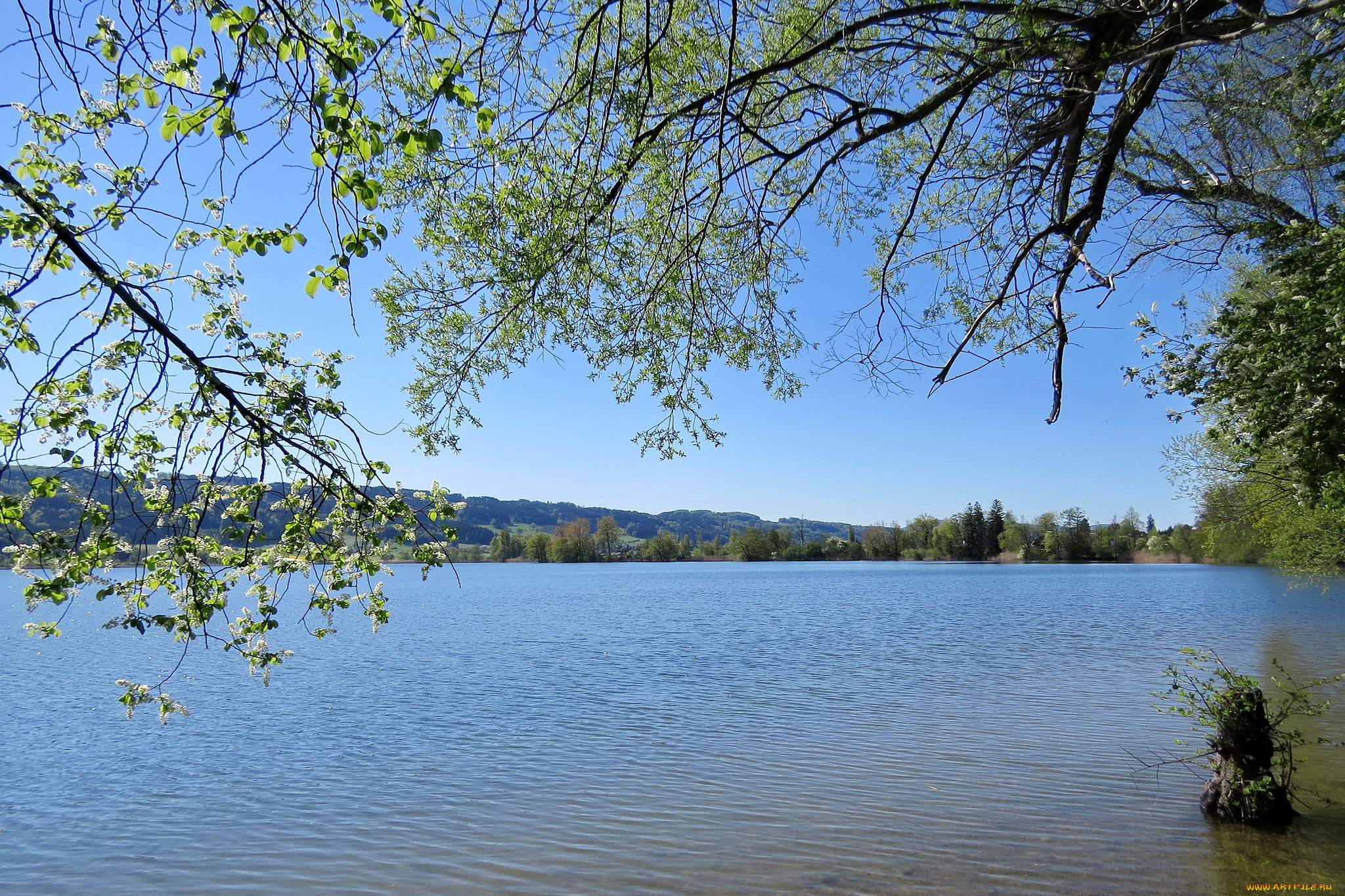 природа, реки, озера, озеро