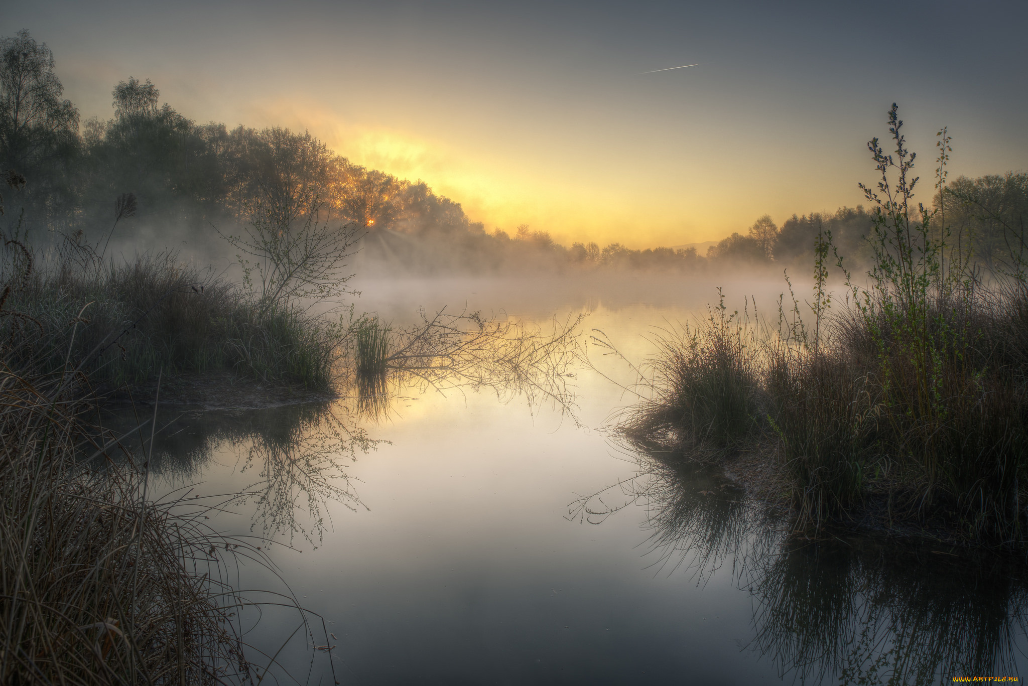 природа, реки, озера, лес, река