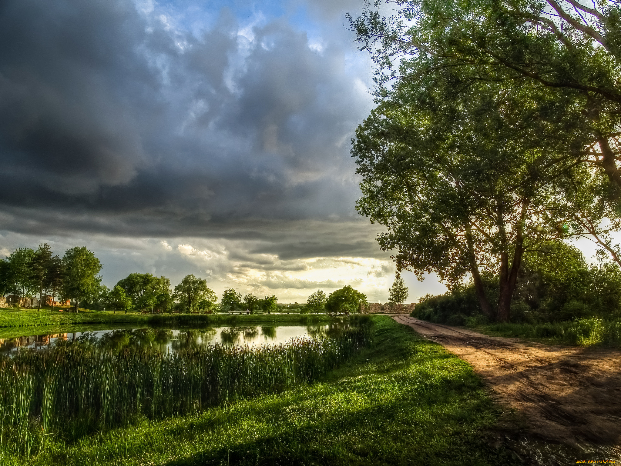 природа, реки, озера, лес, река