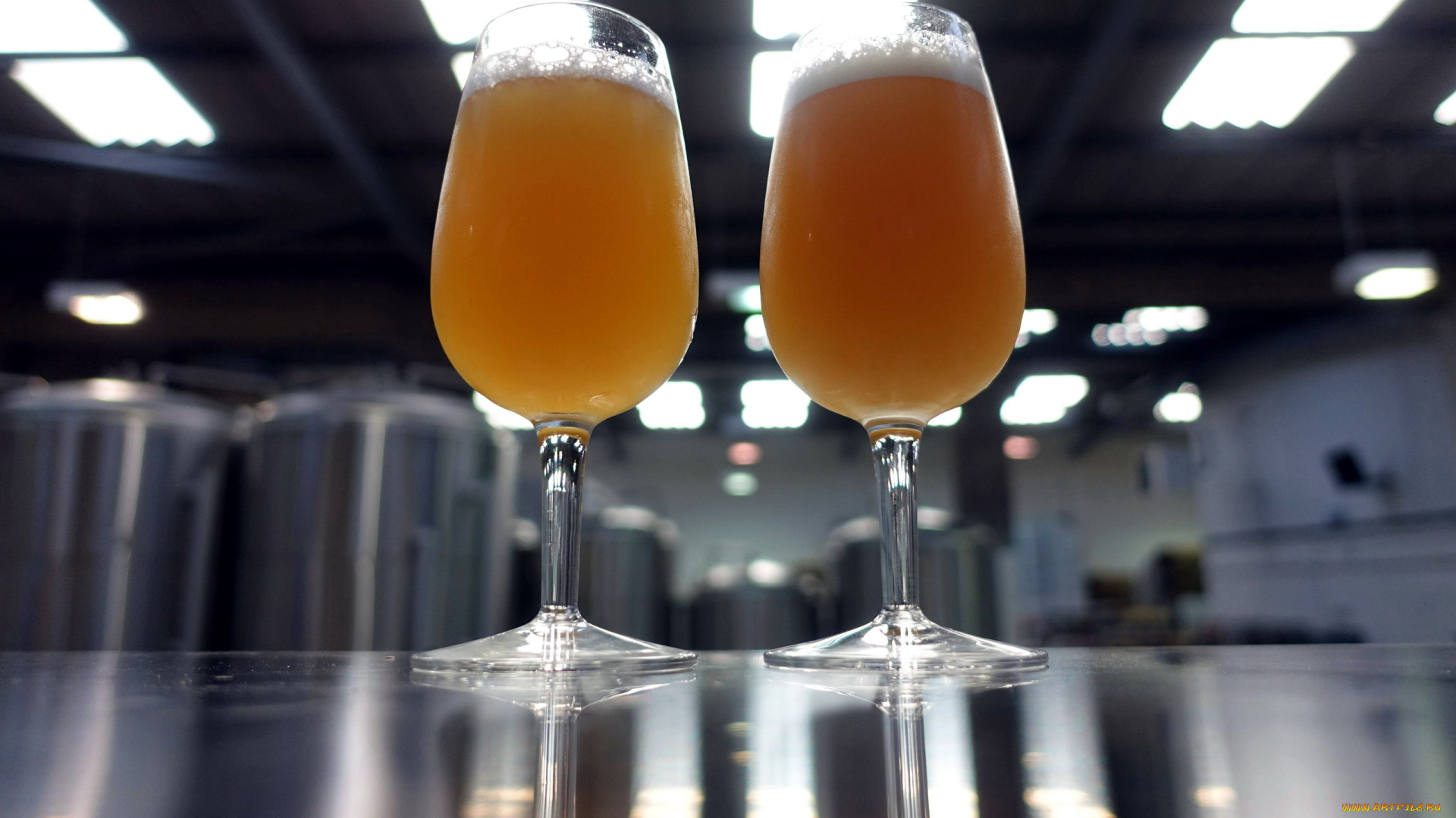 еда, напитки, , пиво, пиво, пена, бокал